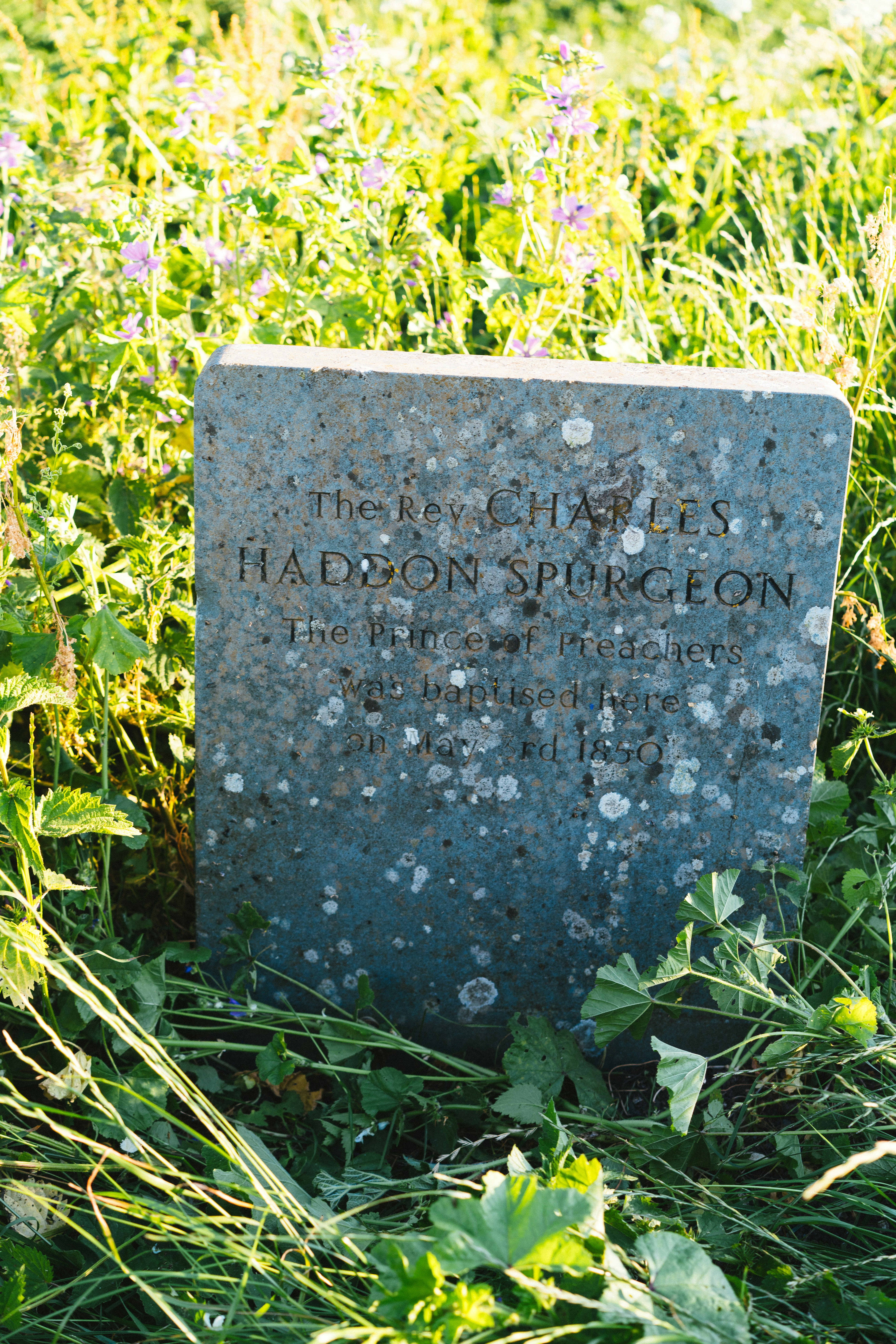 A headstone in a field of tall grass