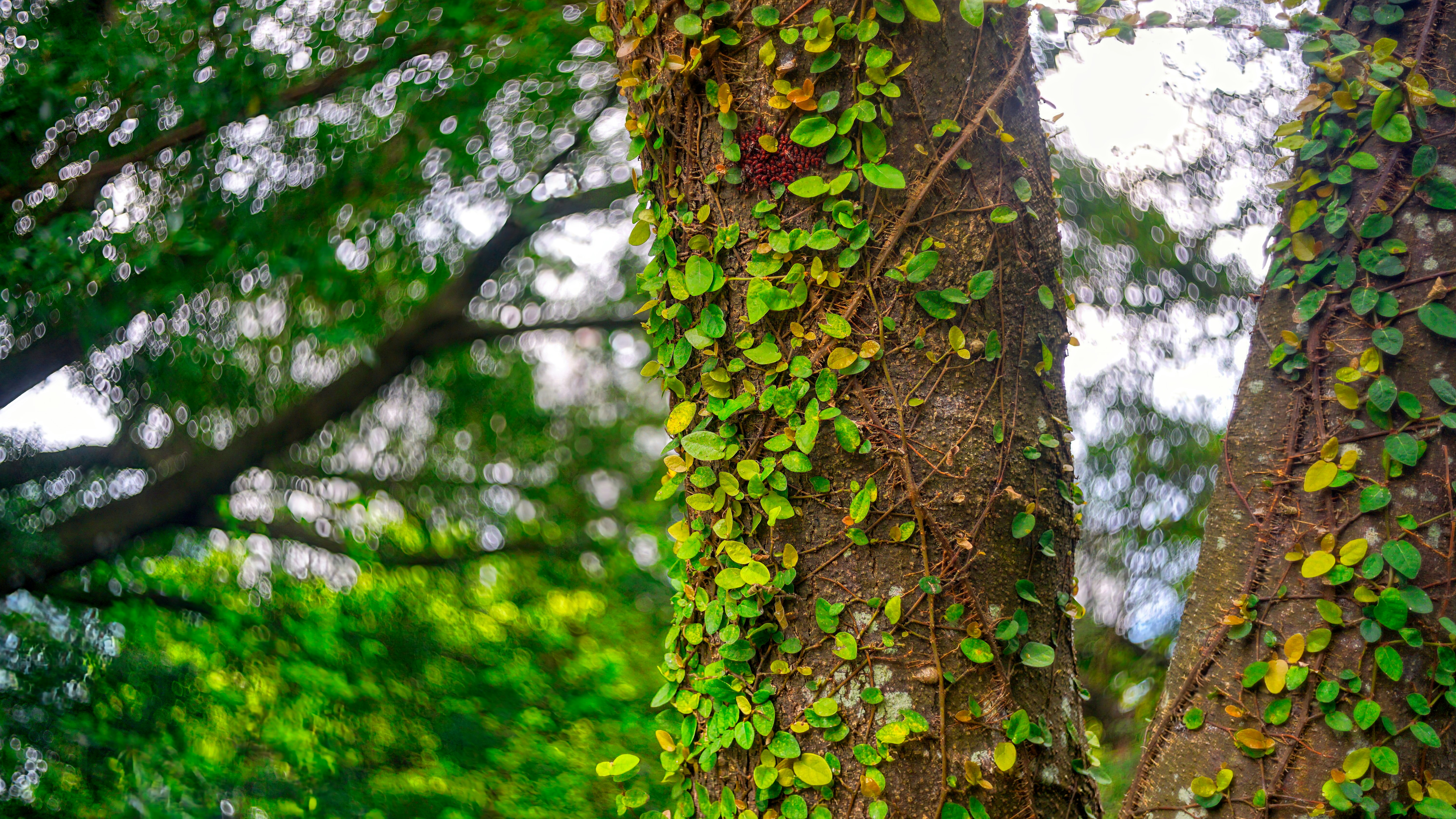 Photo by thomaskinto