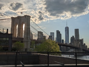 A view of the brooklyn bridge and the city skyline