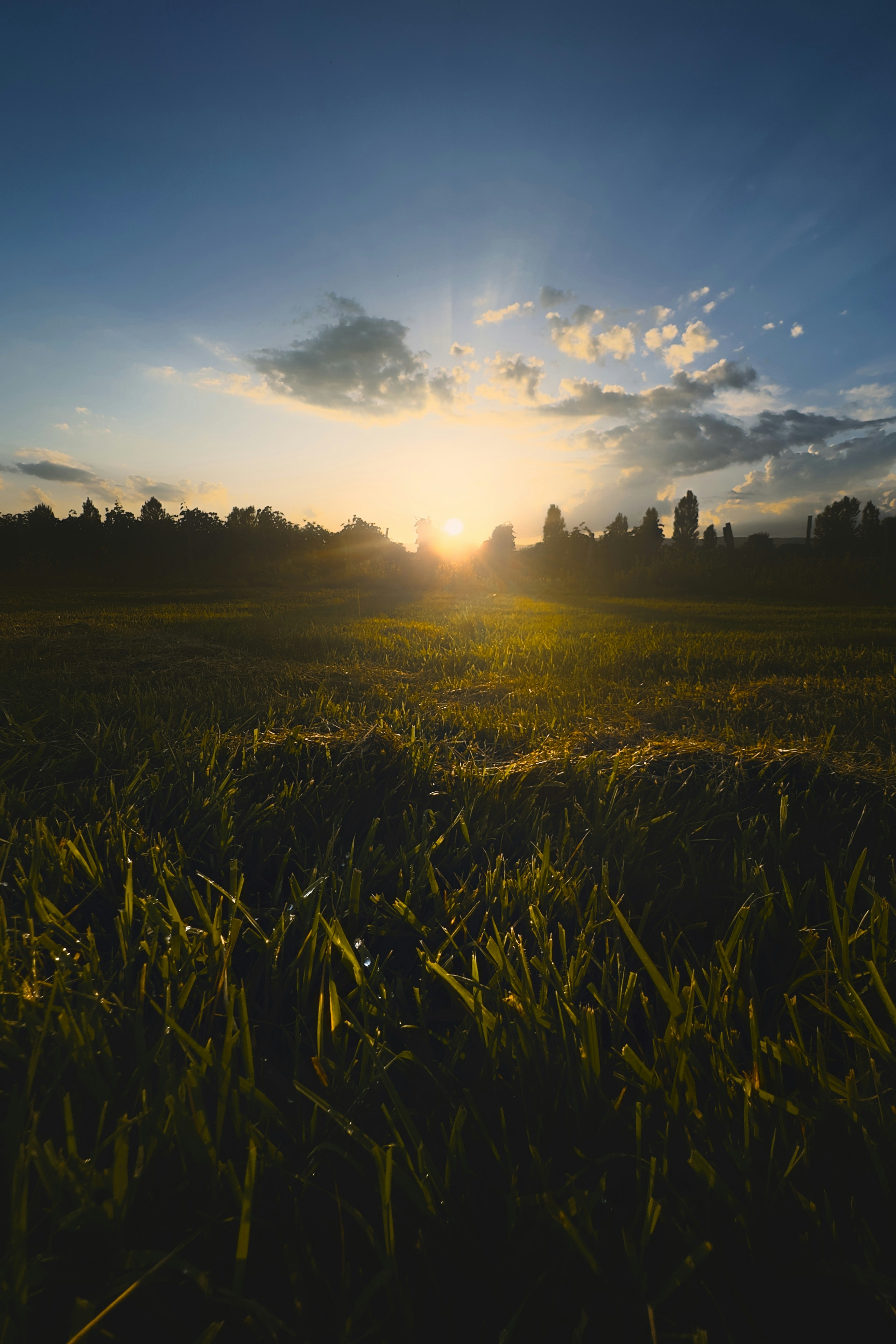 Photo by mrparalloid