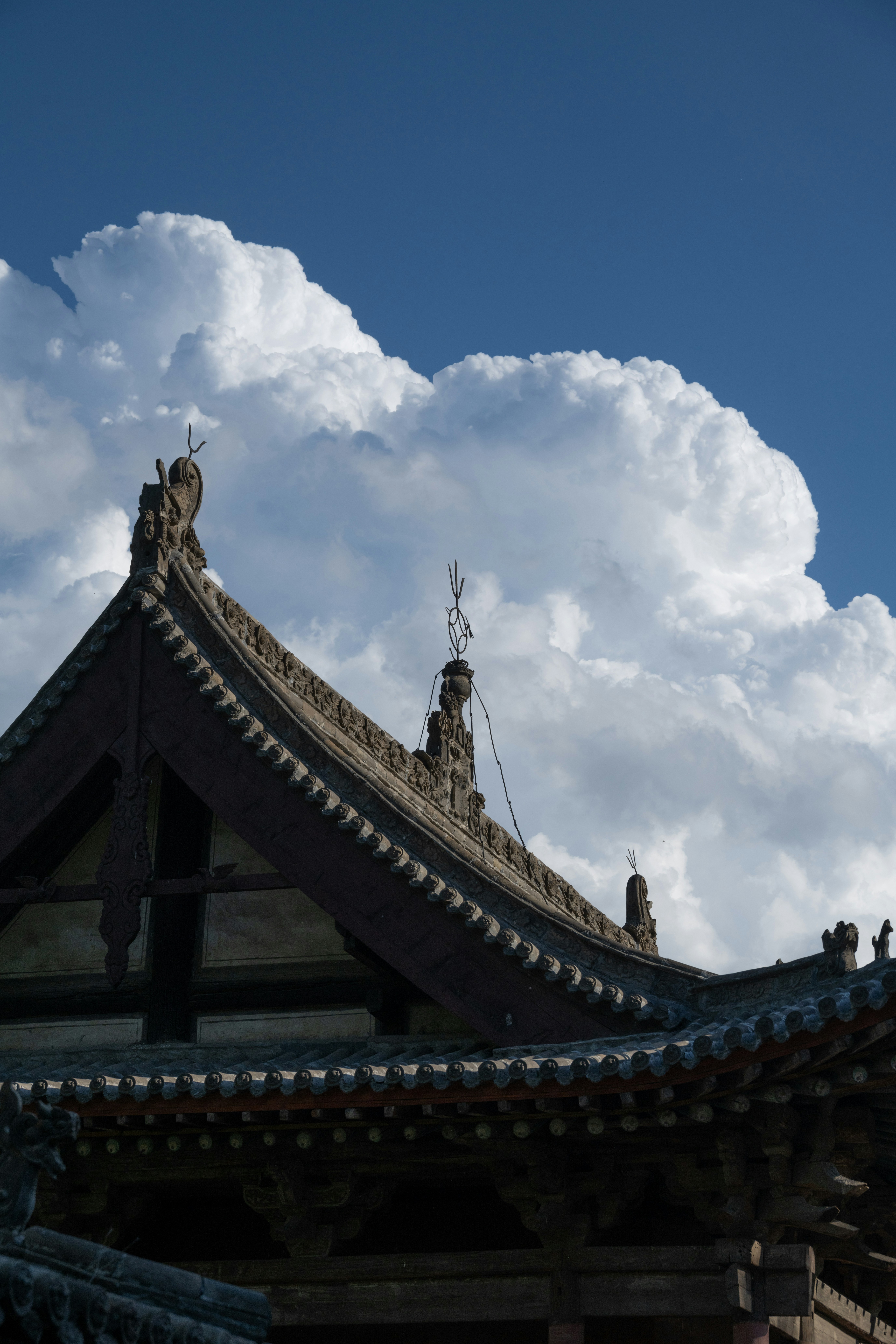 Photo by kaneyoung