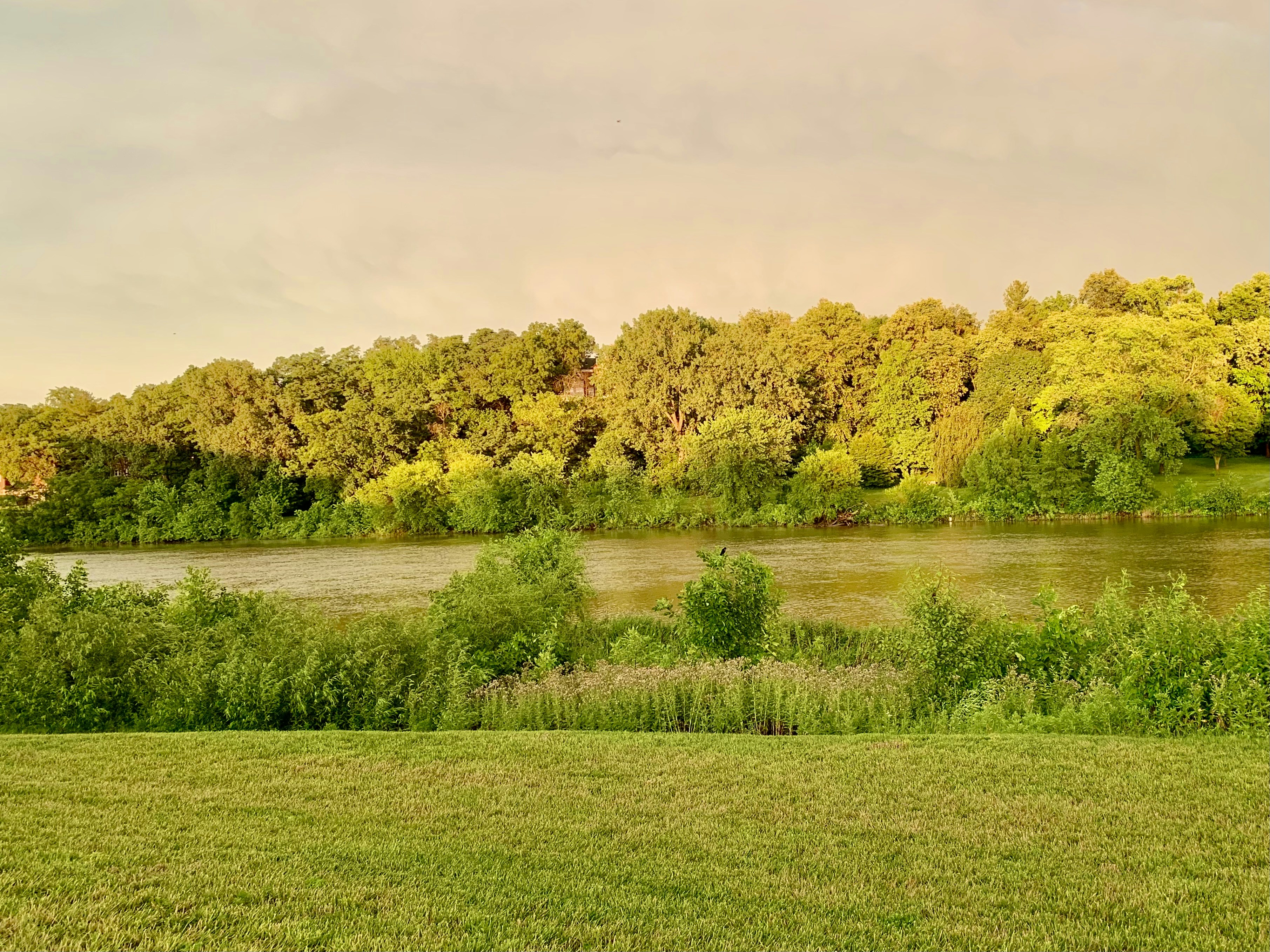 Photo by claire_salvato