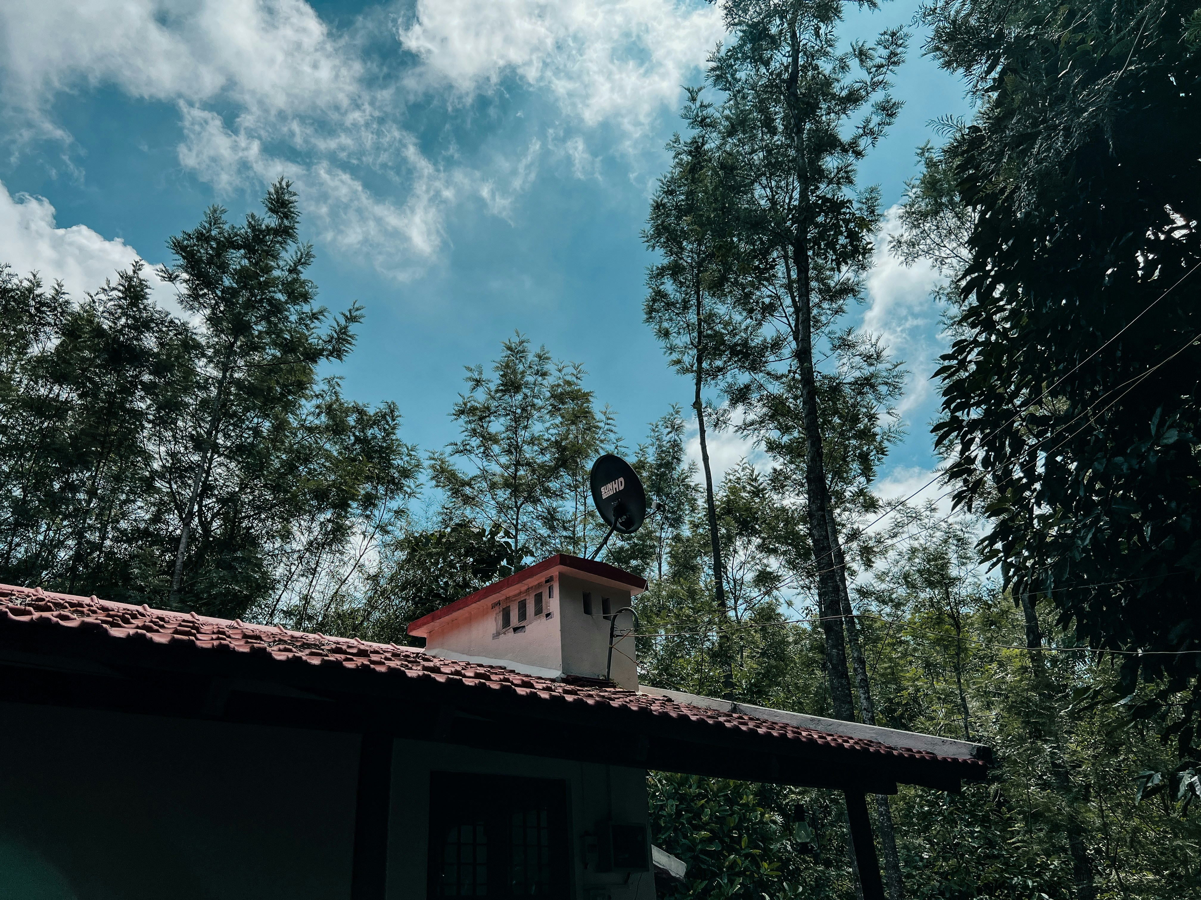 Un pájaro está sentado en el techo de una casa
