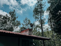 Best Pet-Friendly Hotels and Stays in Yercaud for Travelers With Furry Companions