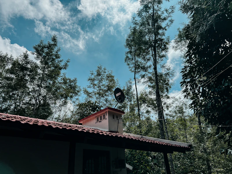 Best Pet-Friendly Hotels and Stays in Yercaud for Travelers With Furry Companions