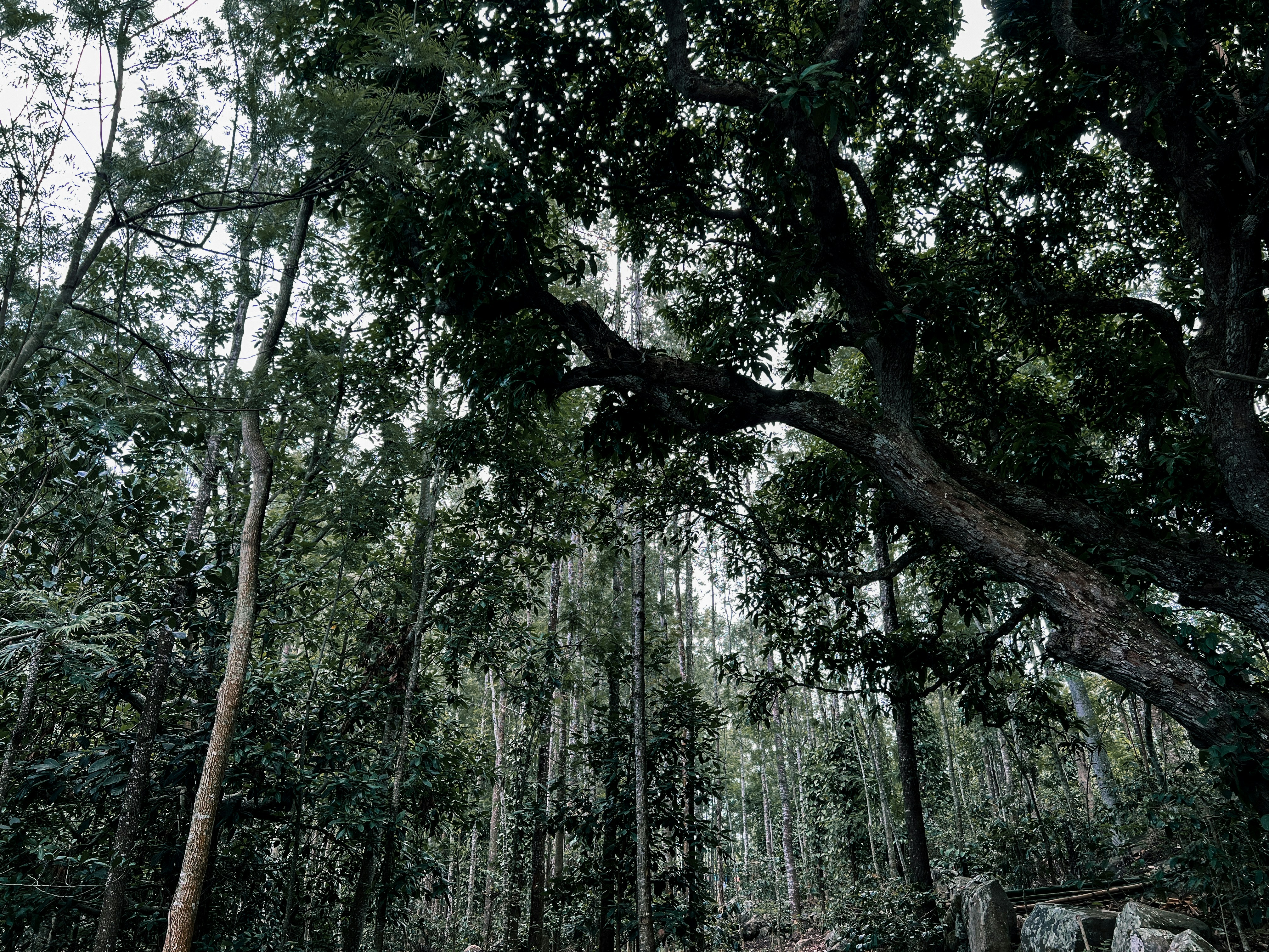 Photo by shiyanshirani