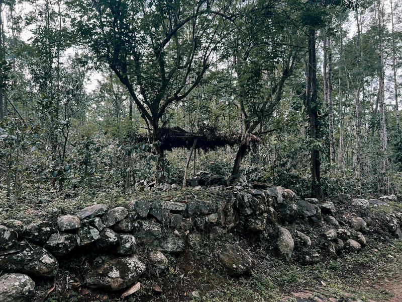 Must Visit Landmarks in Yercaud and the Stories Behind Them