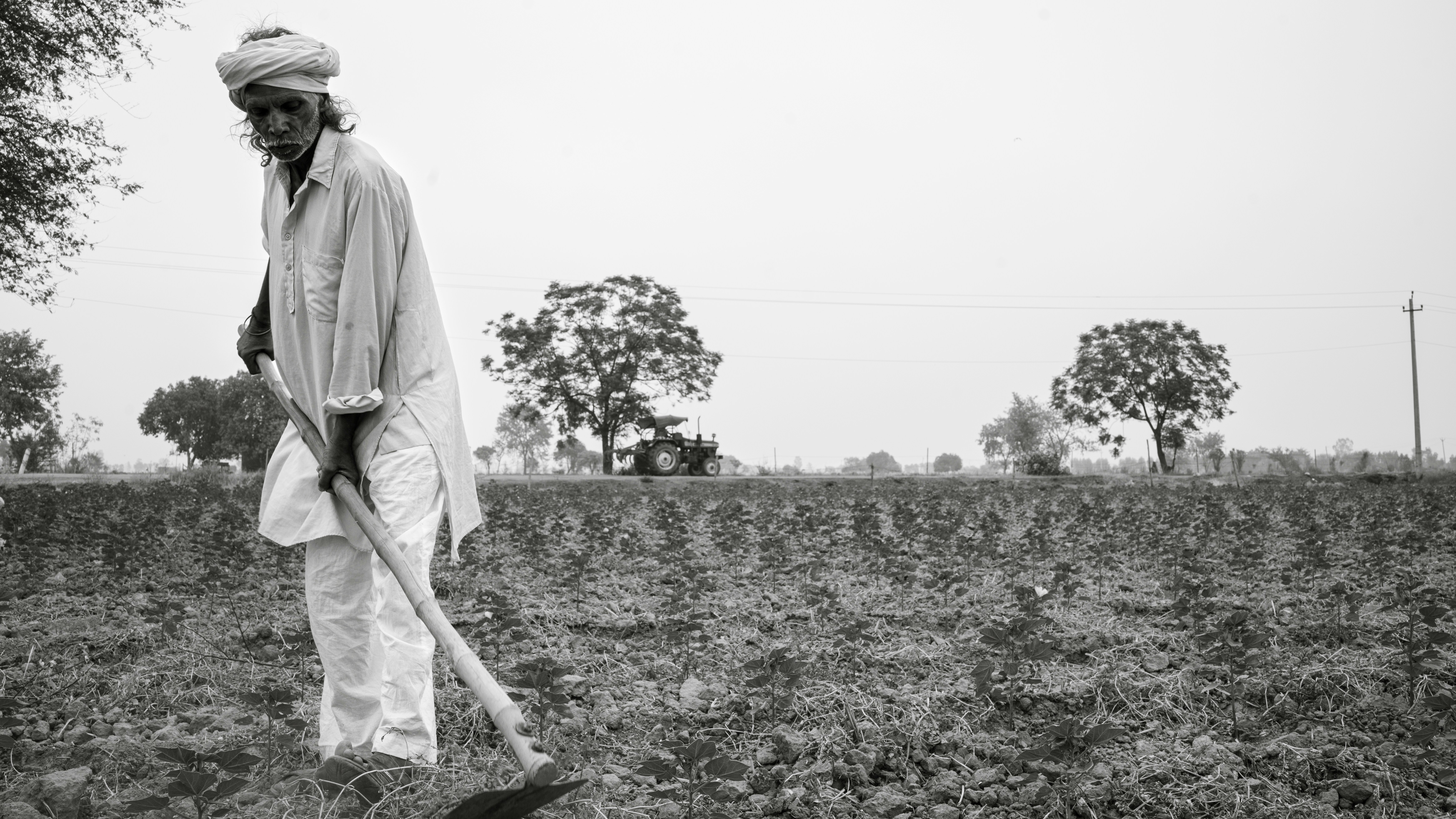Best Farmers Day Quotes: Heartfelt Lines to Thank Farmers
