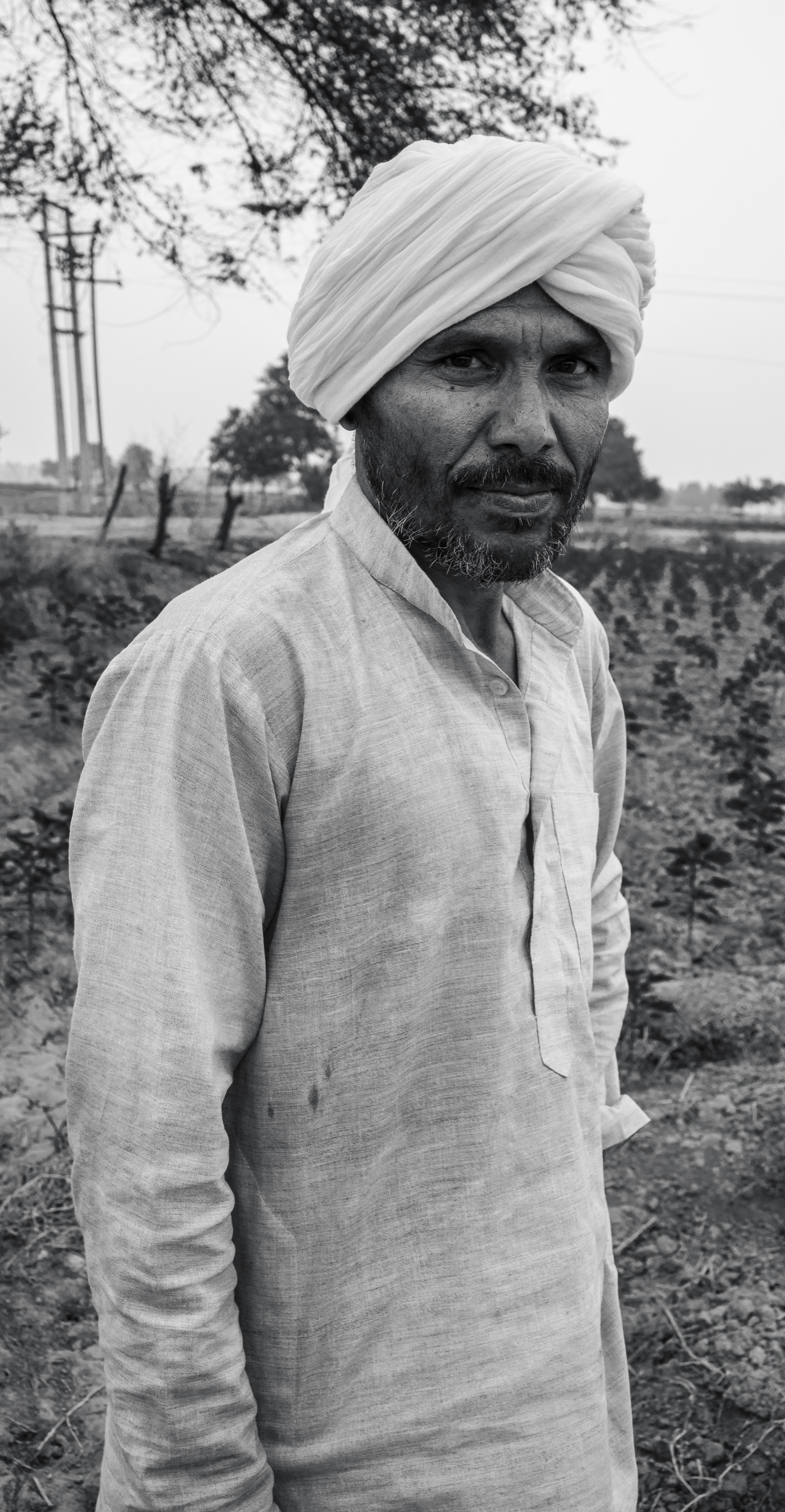 Chief Adebayo Ogundimu