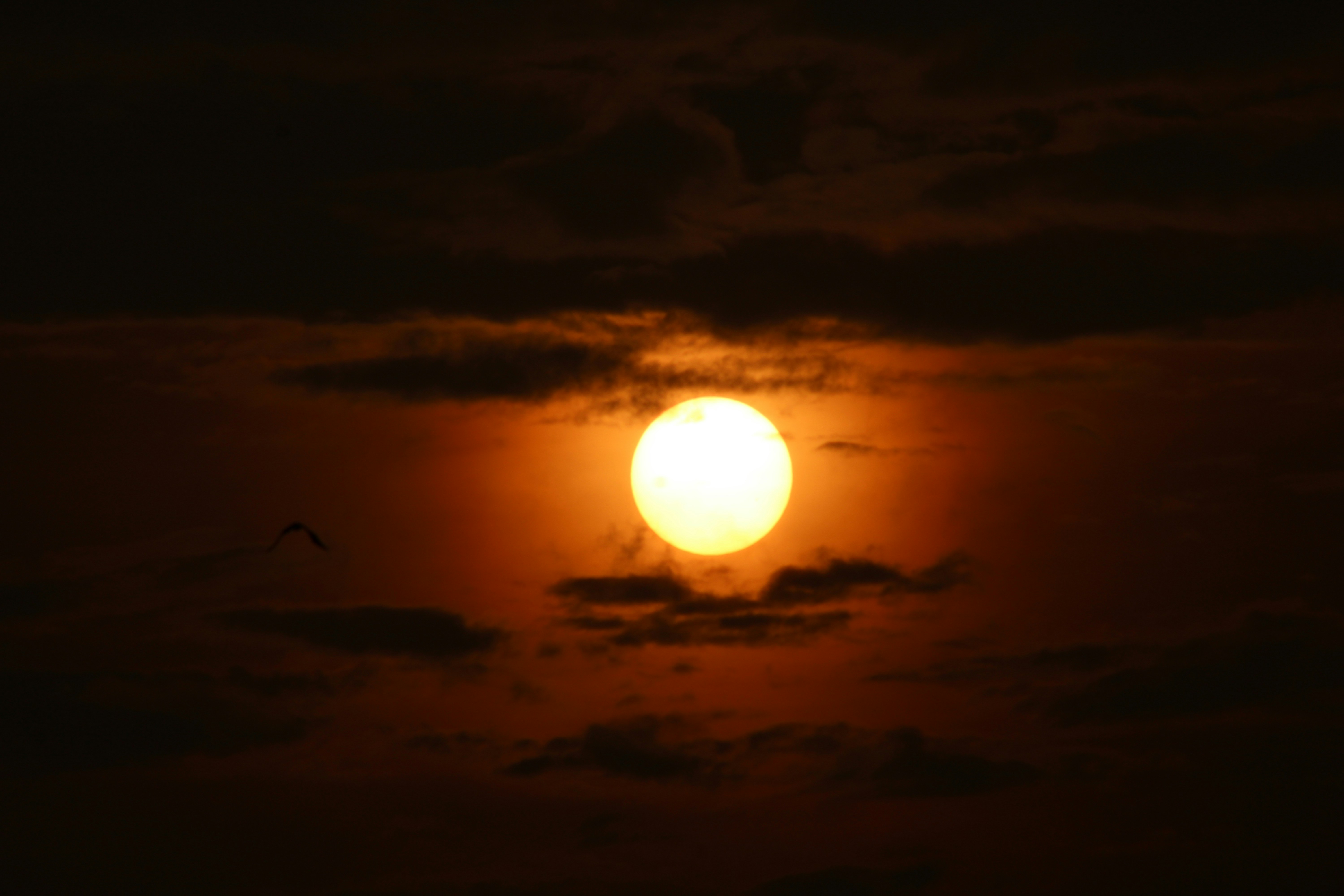 Photo by photoloveramico