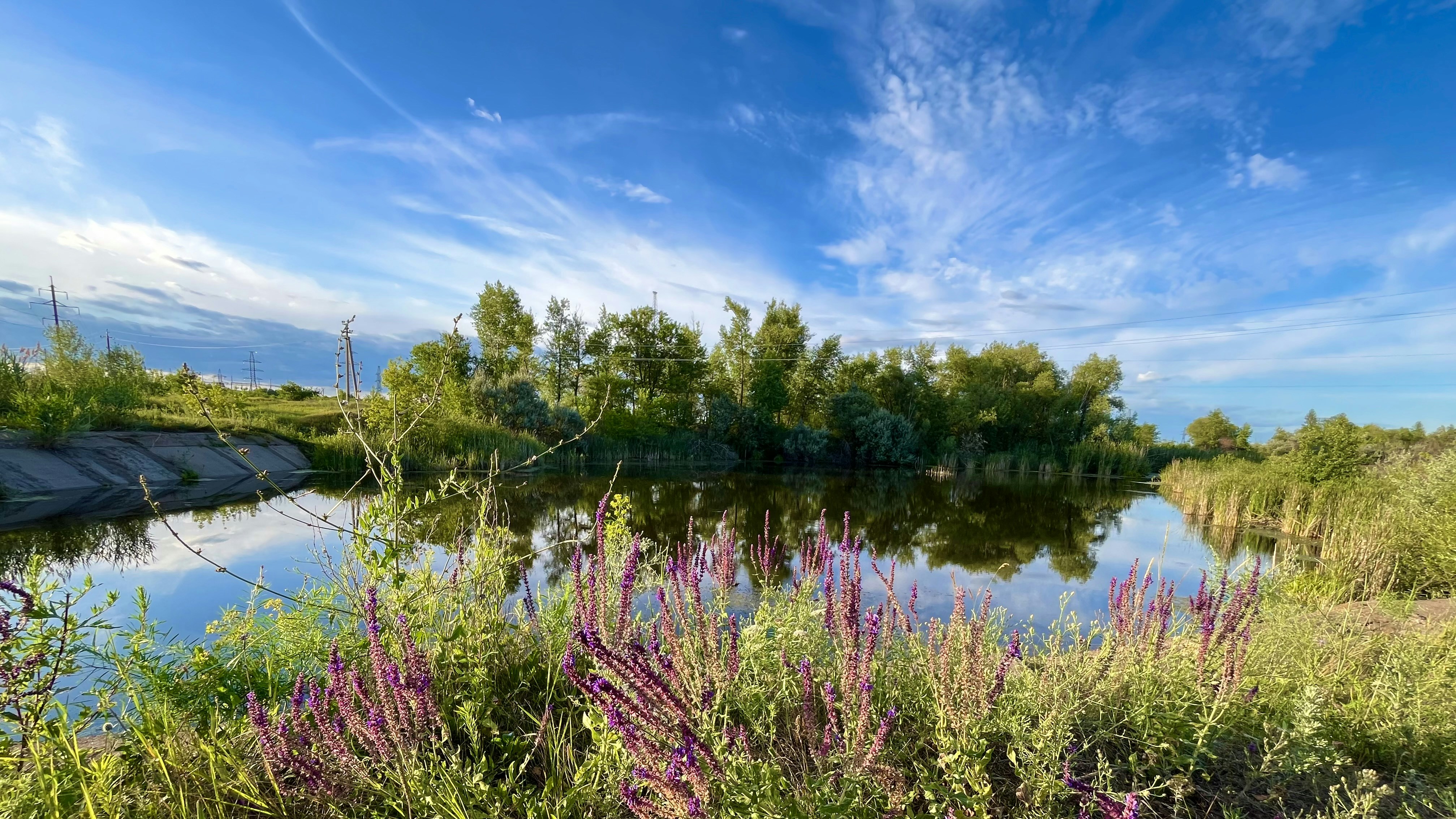 Photo by katrin_bloom