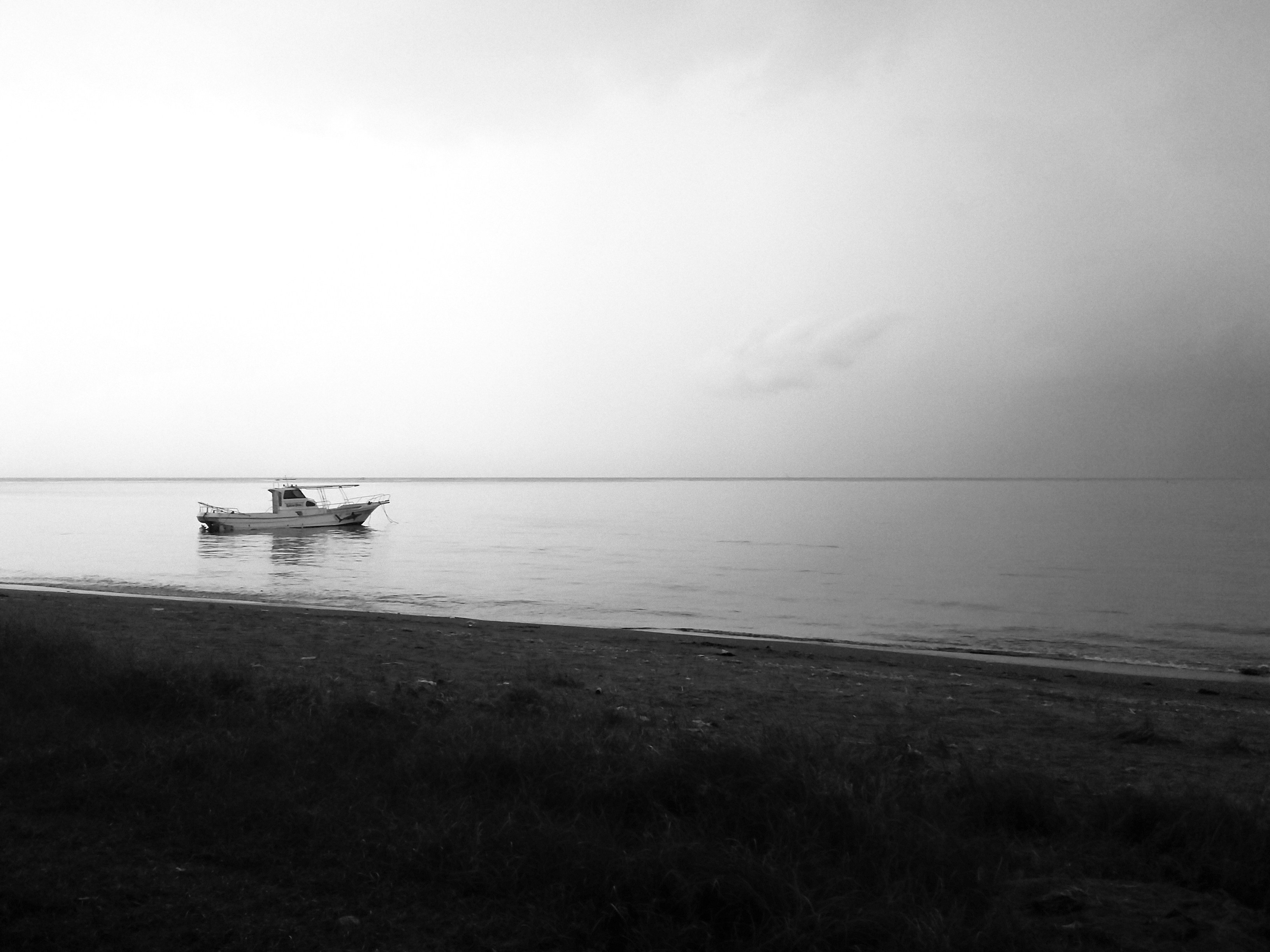 Photo by hybridnighthawk