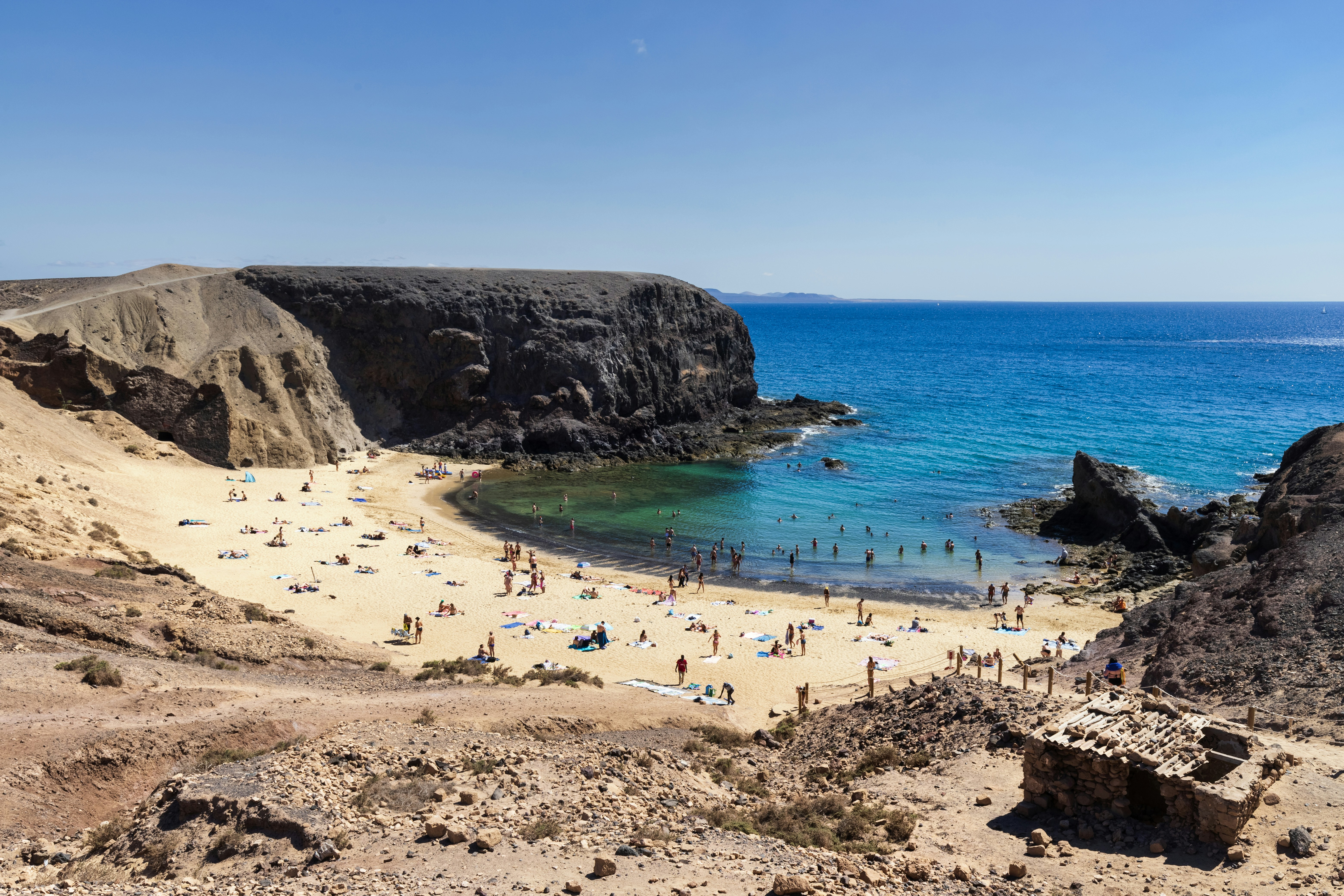 A group of people on a beach near the ocean