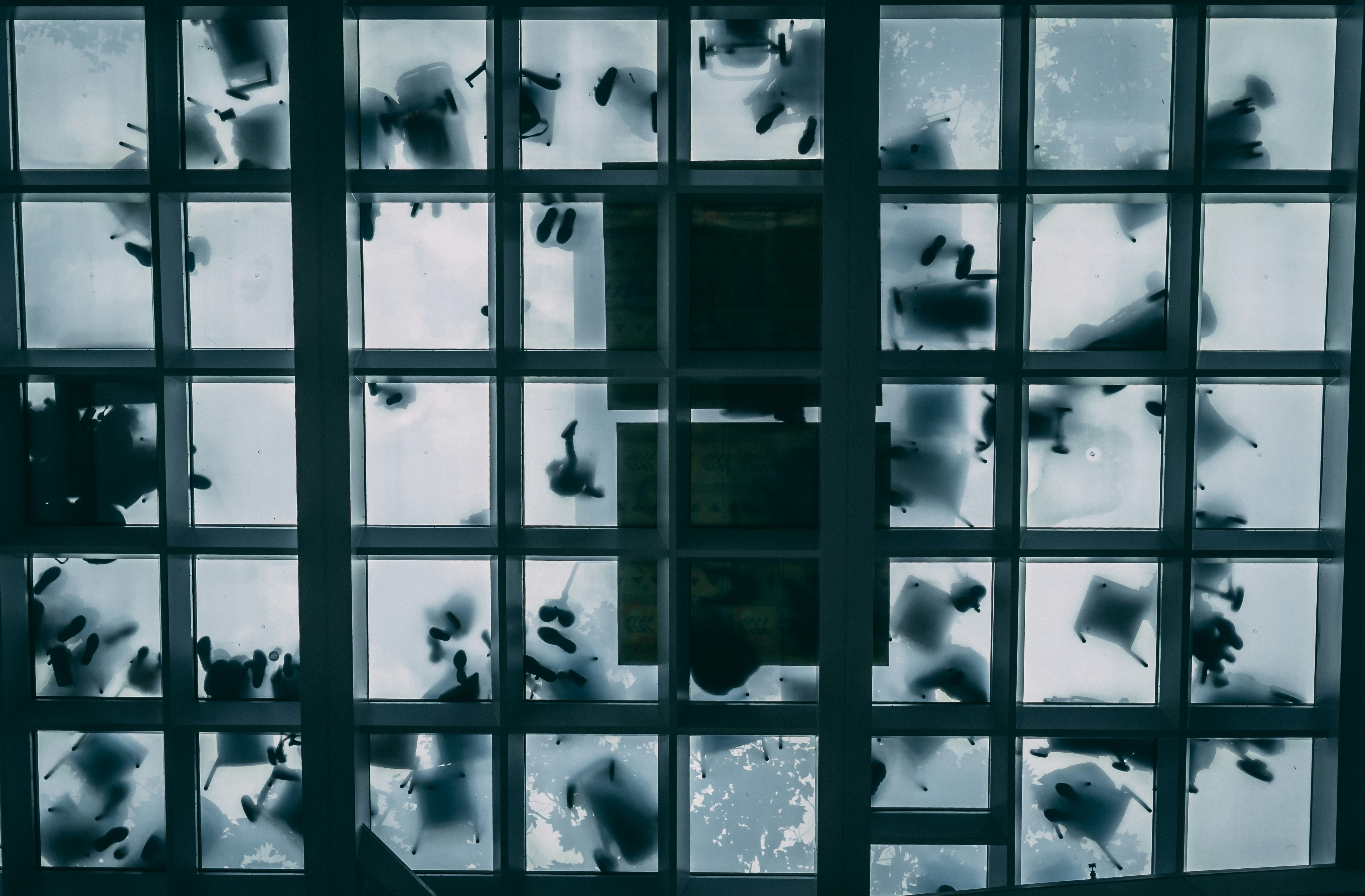 Photo by frommontreal