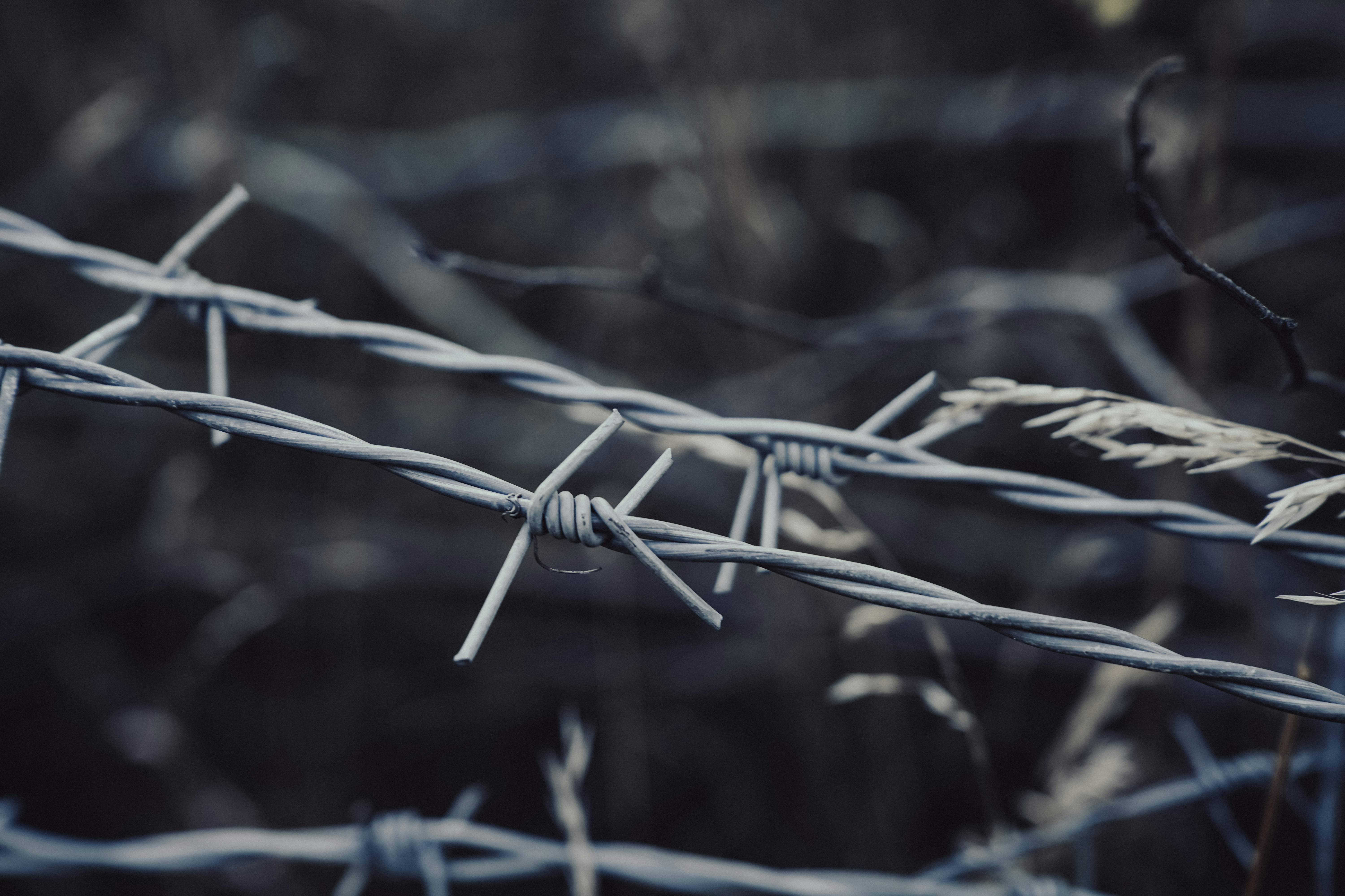 Photo by frannzsteph