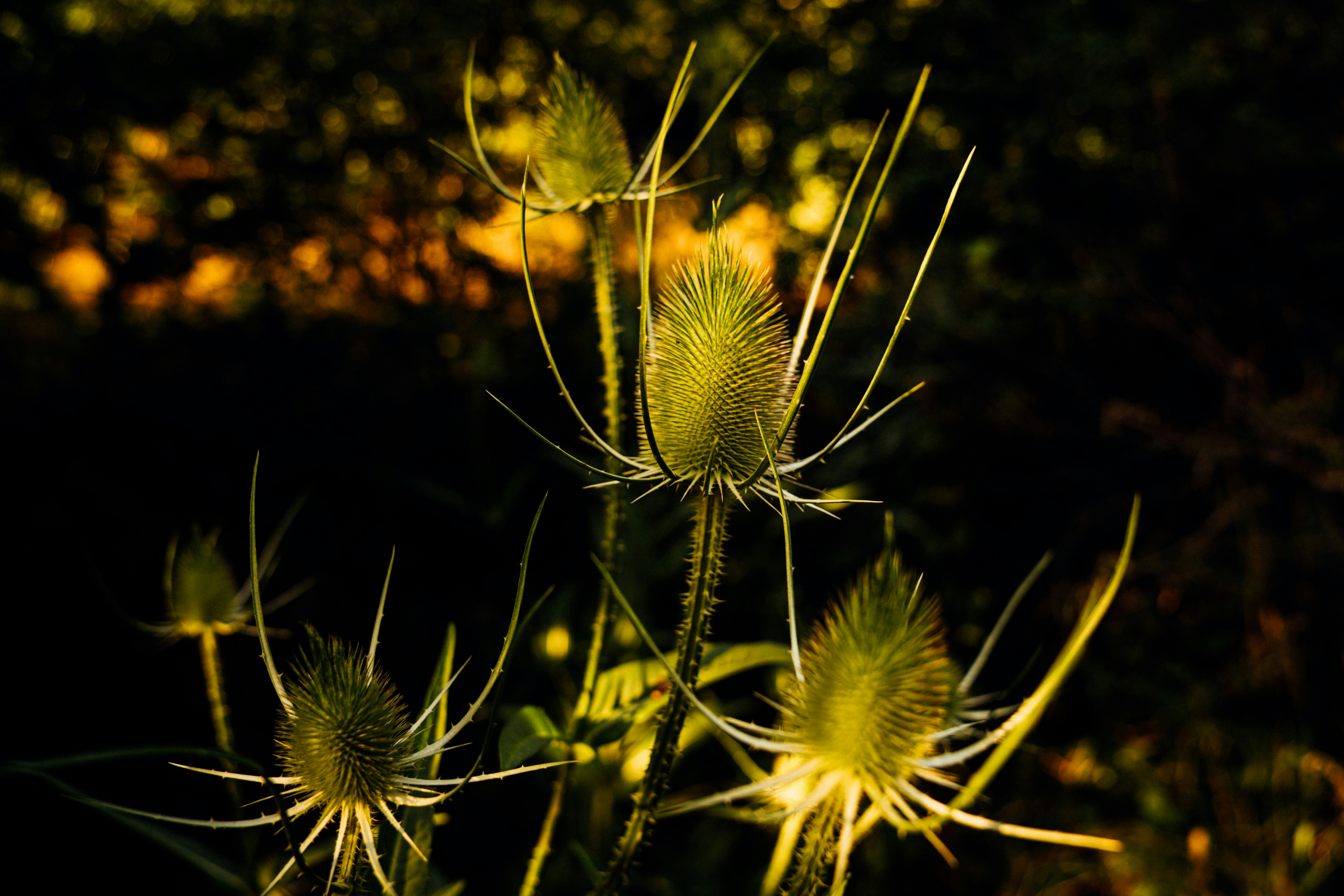 Photo by frannzsteph