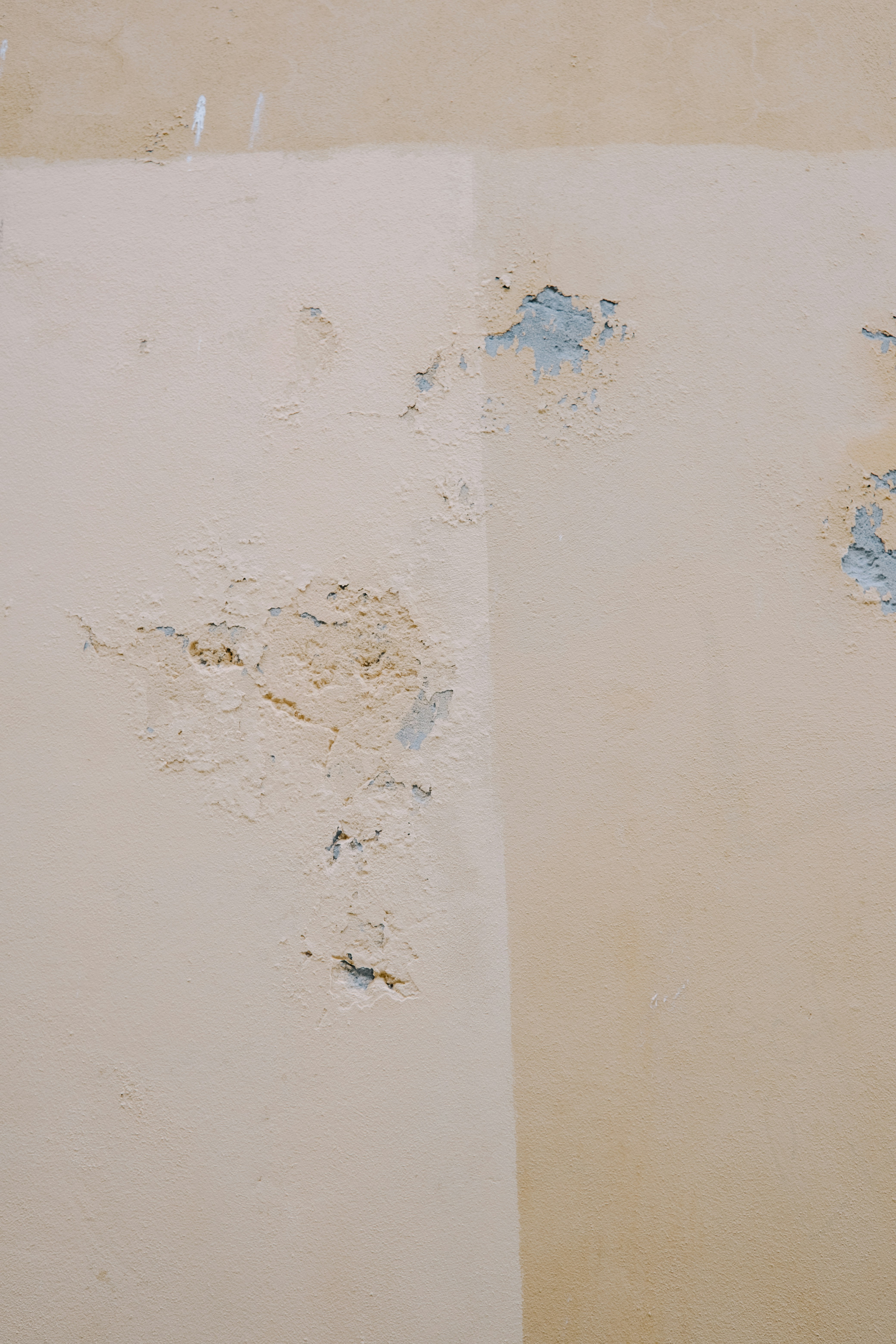 Photo by anniespratt