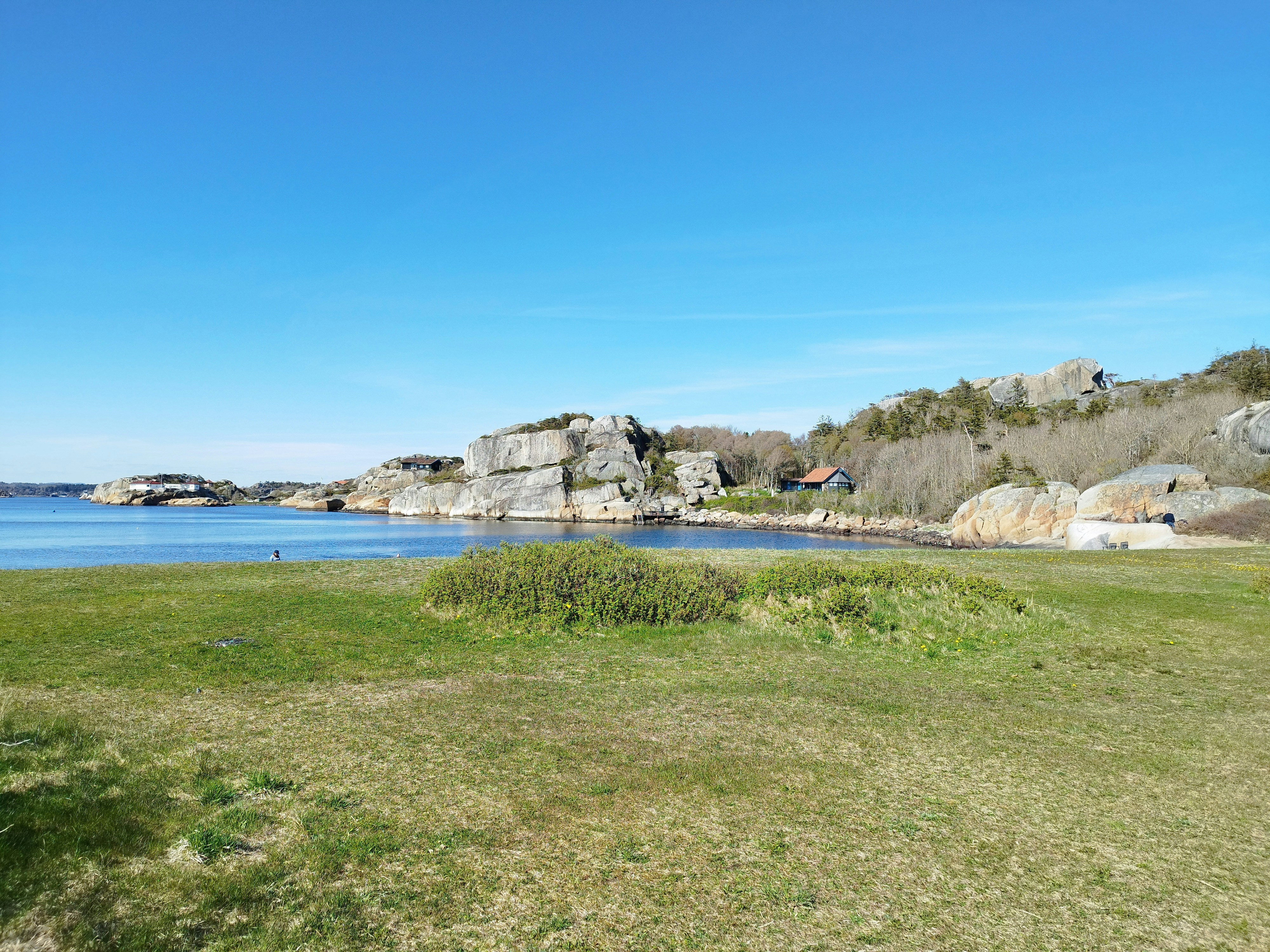 A grassy field next to a body of water