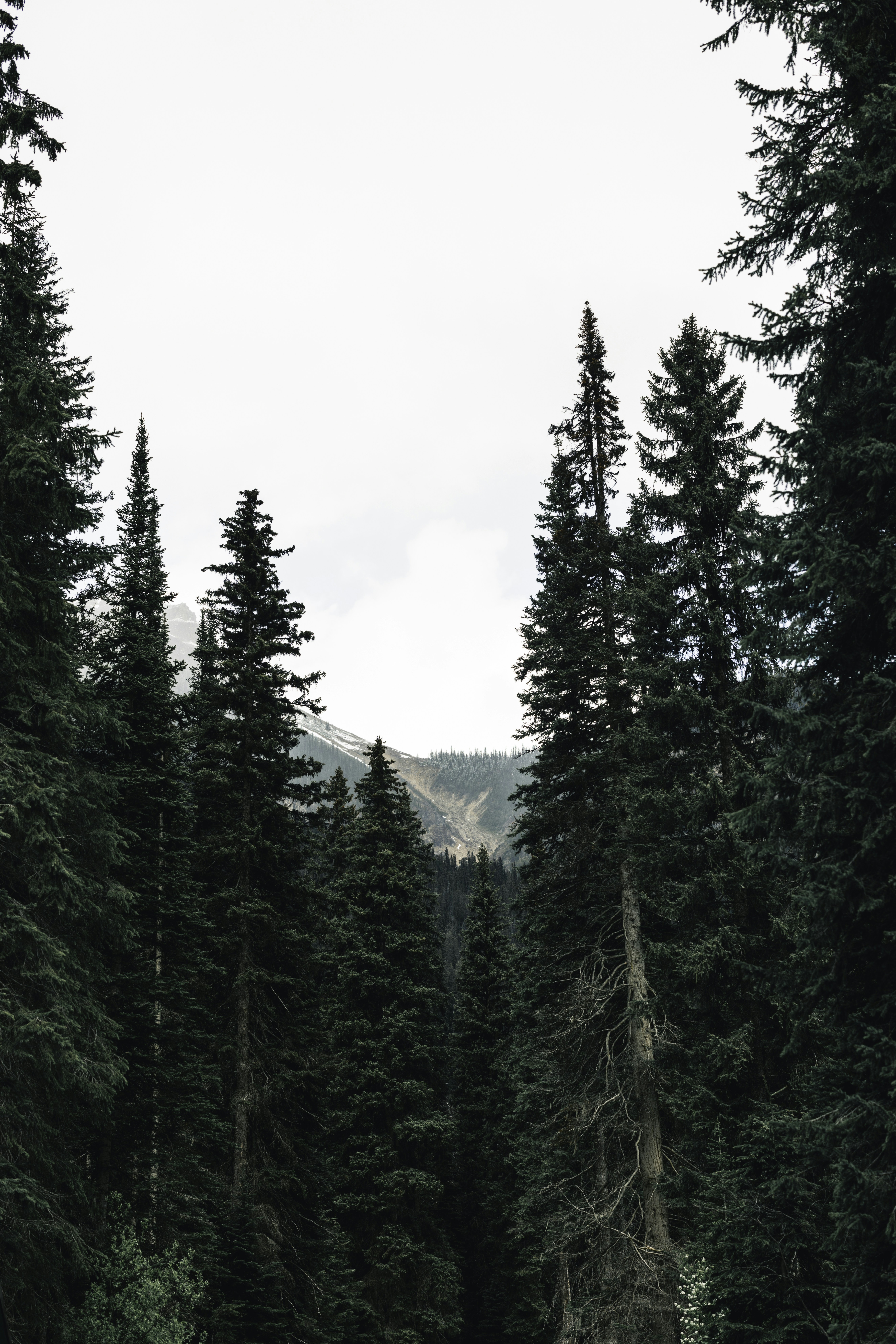 Photo by lureofadventure