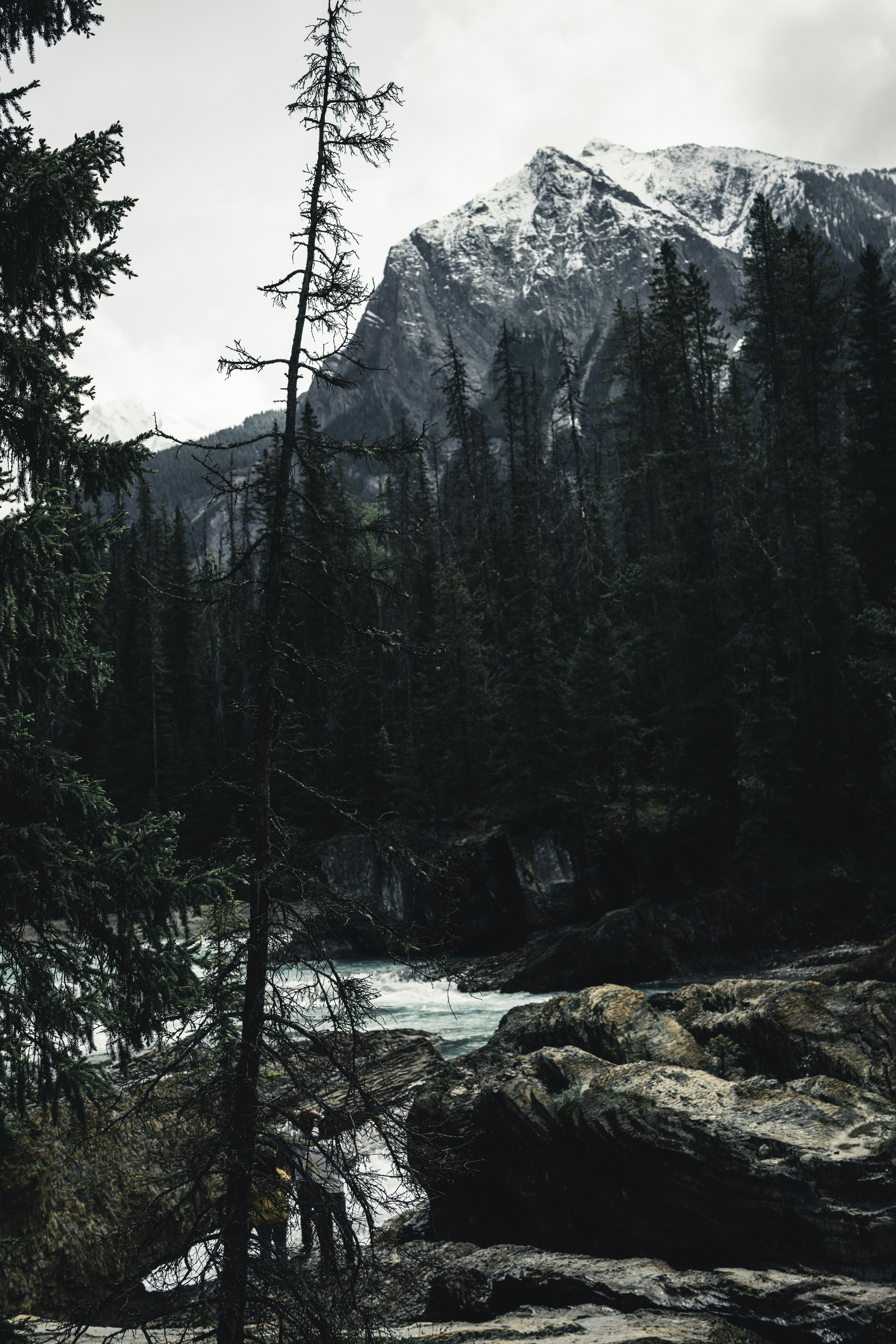 Photo by lureofadventure