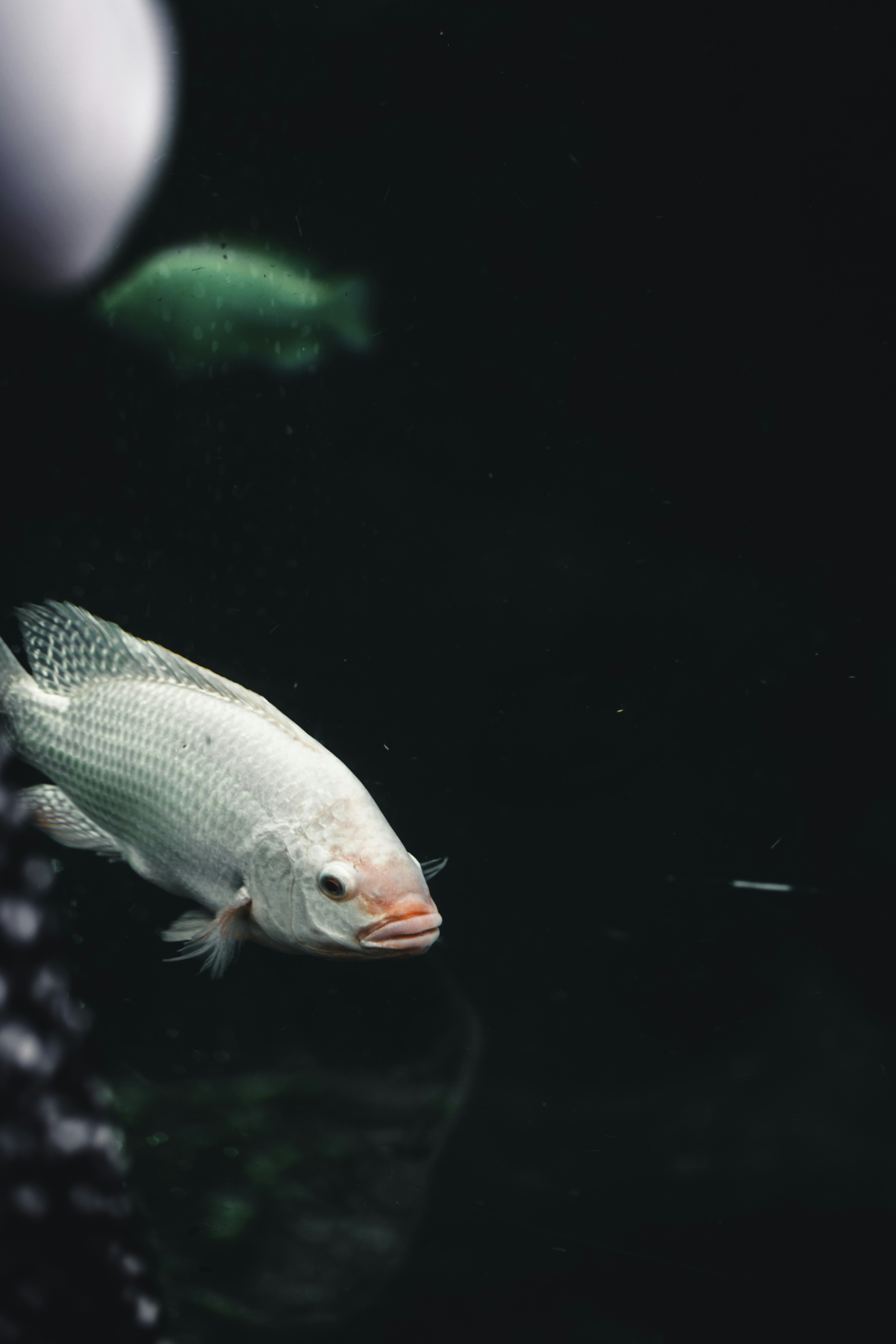 Photo by lureofadventure