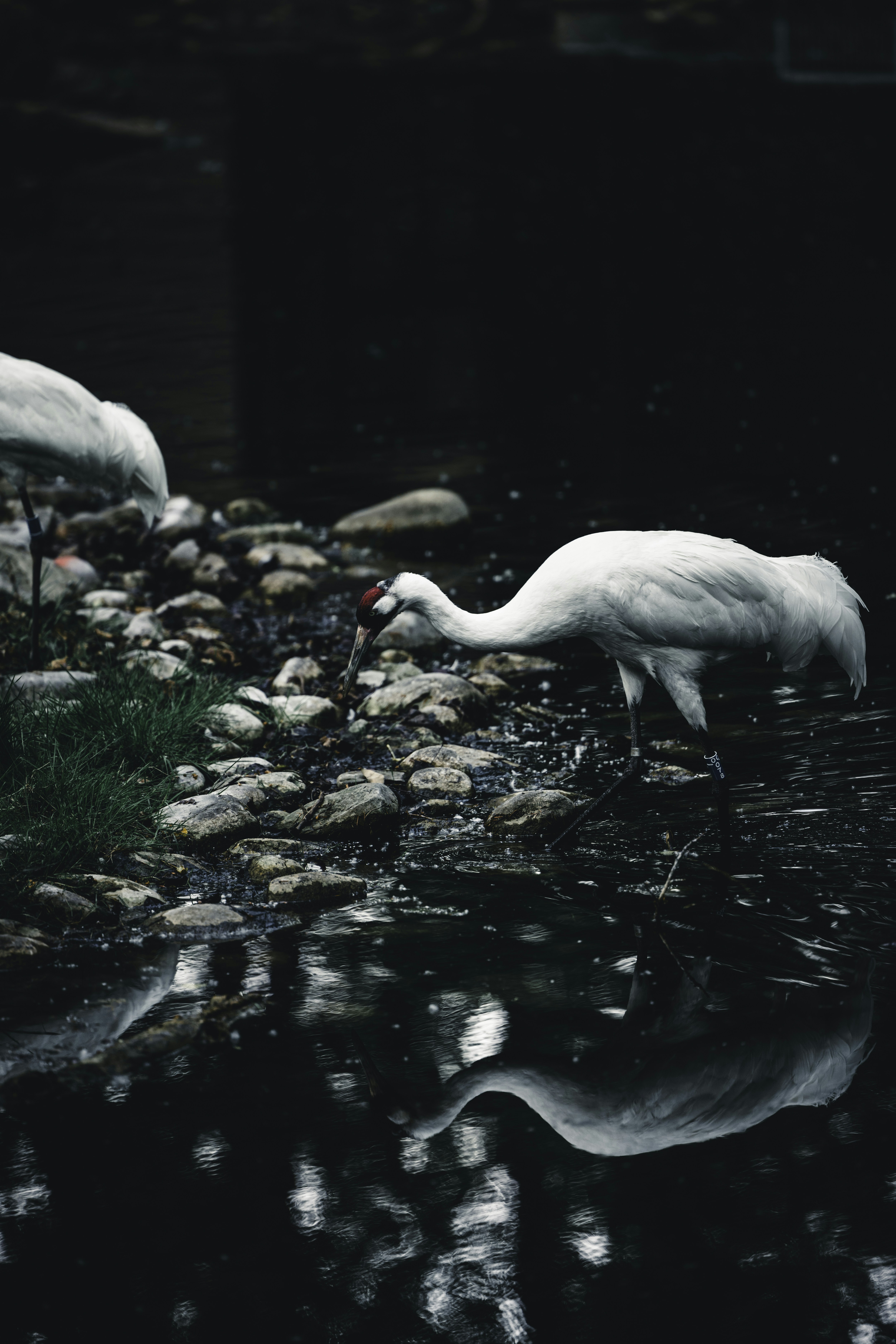 Photo by lureofadventure