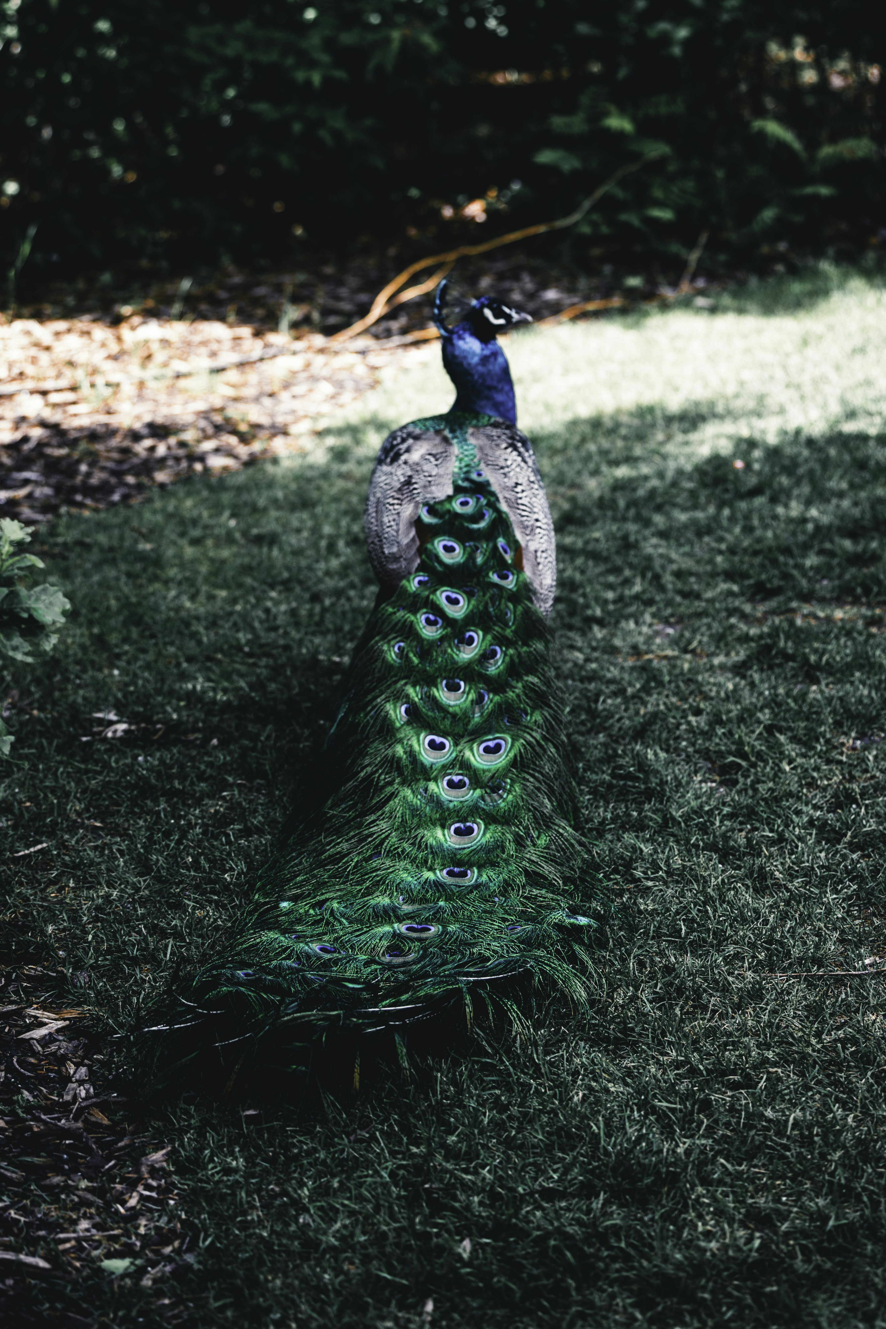 Photo by lureofadventure