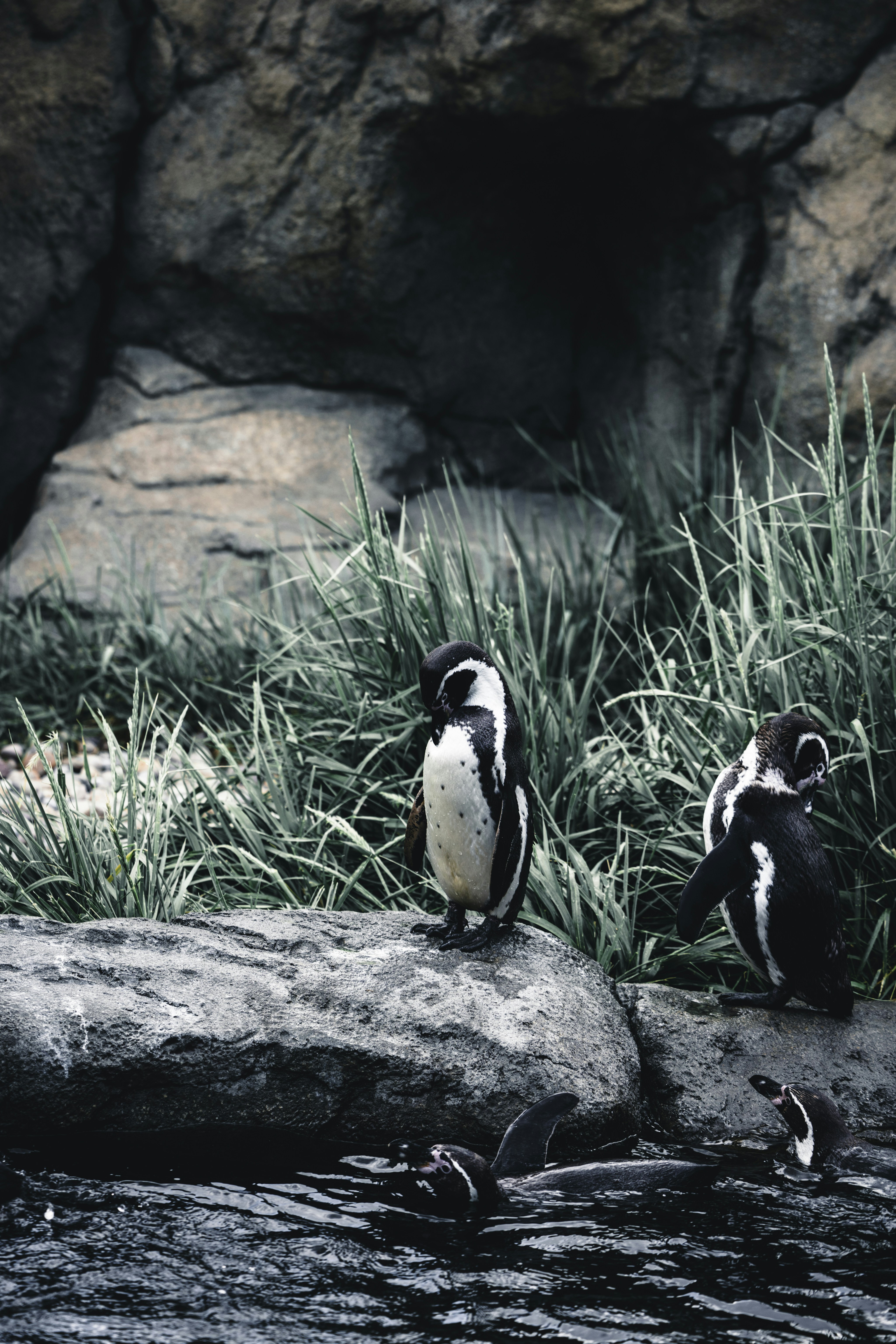 Photo by lureofadventure