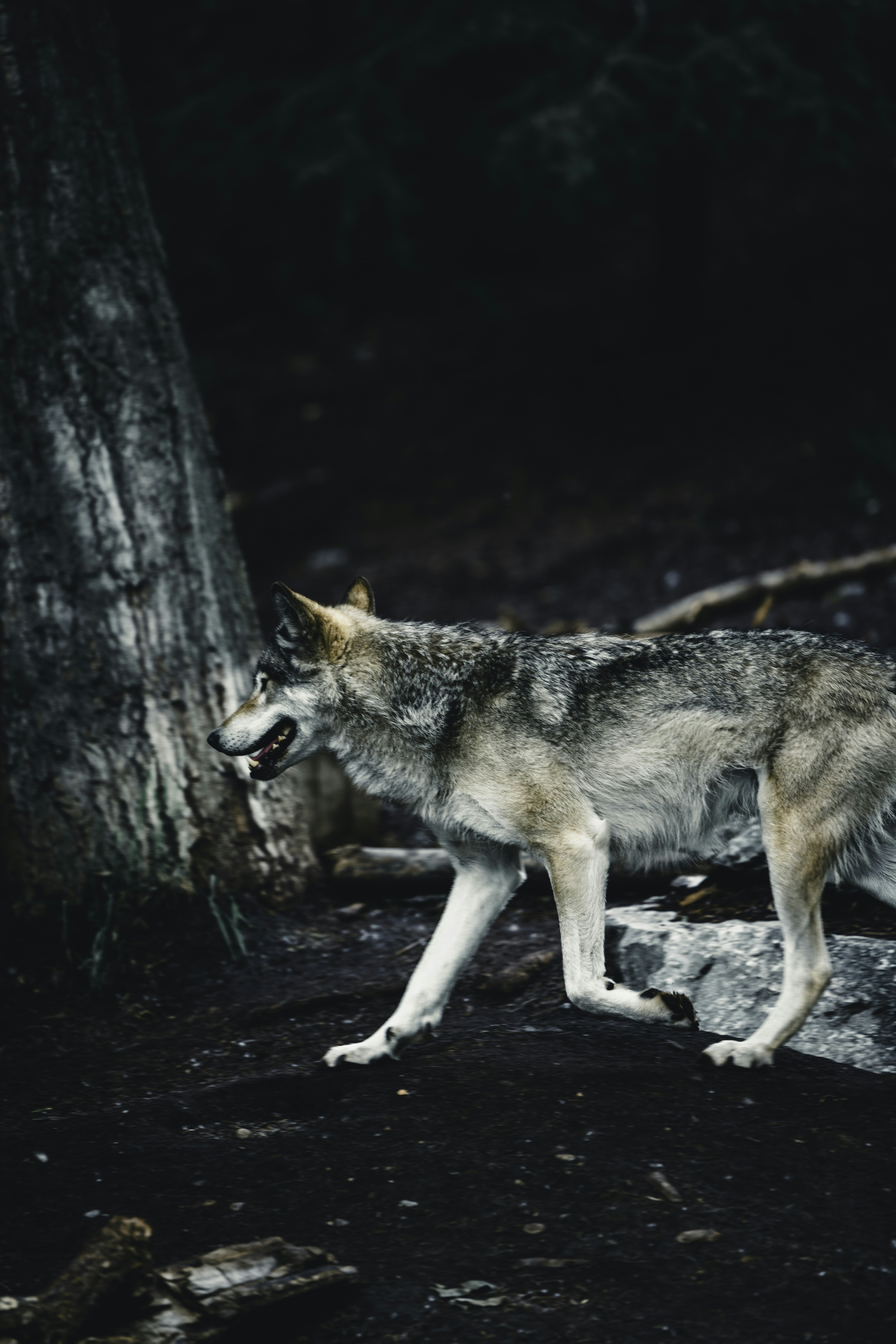 Photo by lureofadventure