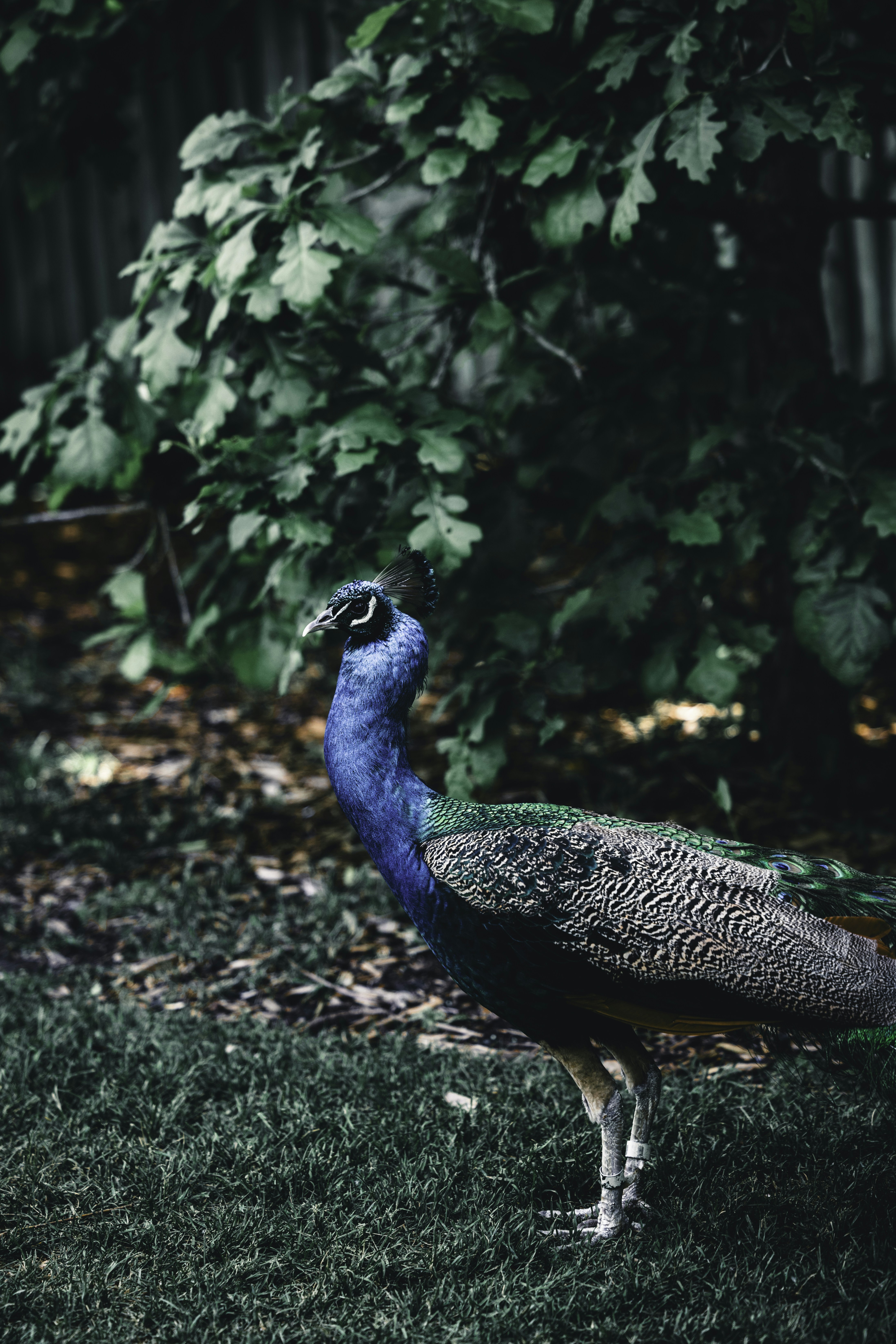 Photo by lureofadventure