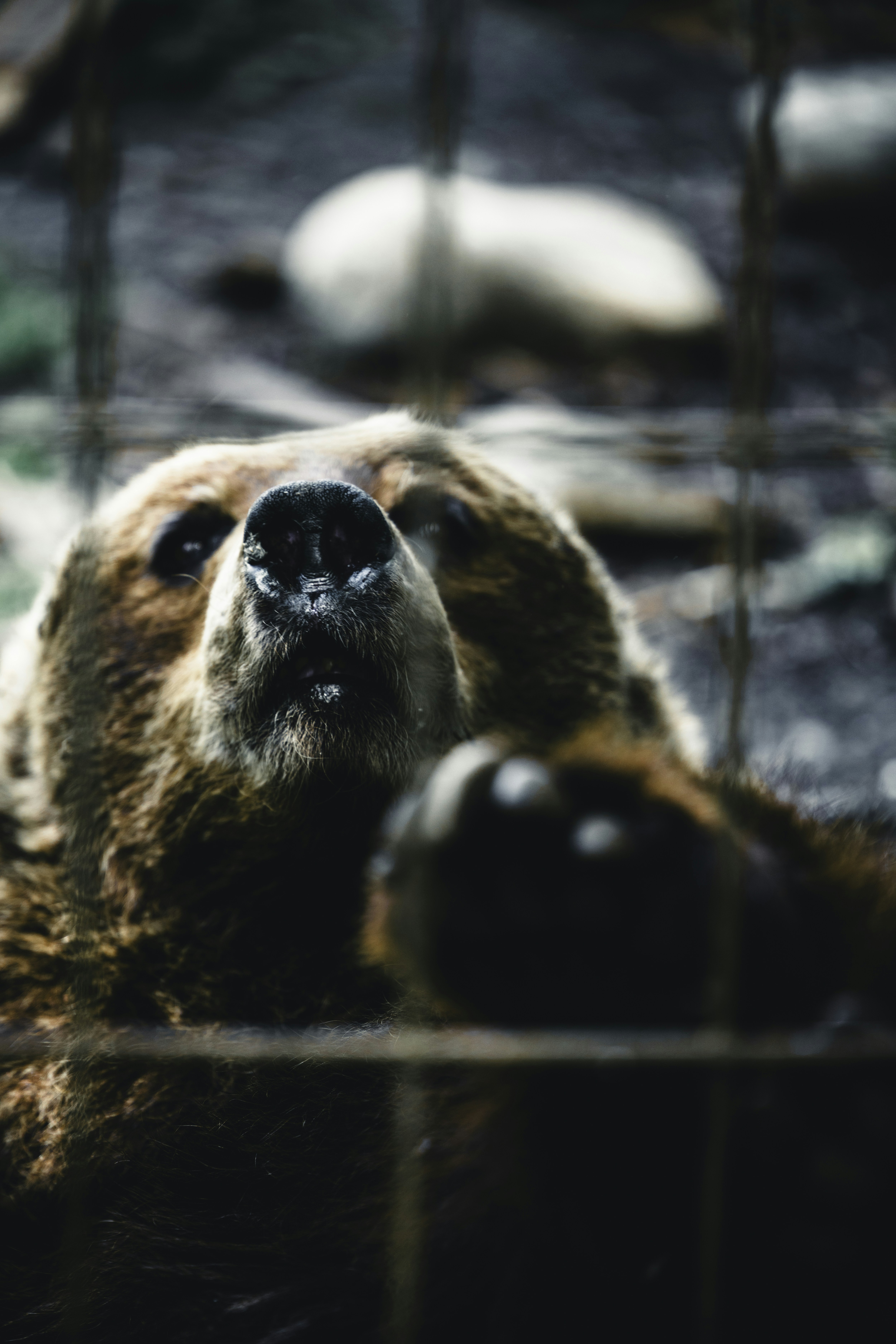 Photo by lureofadventure