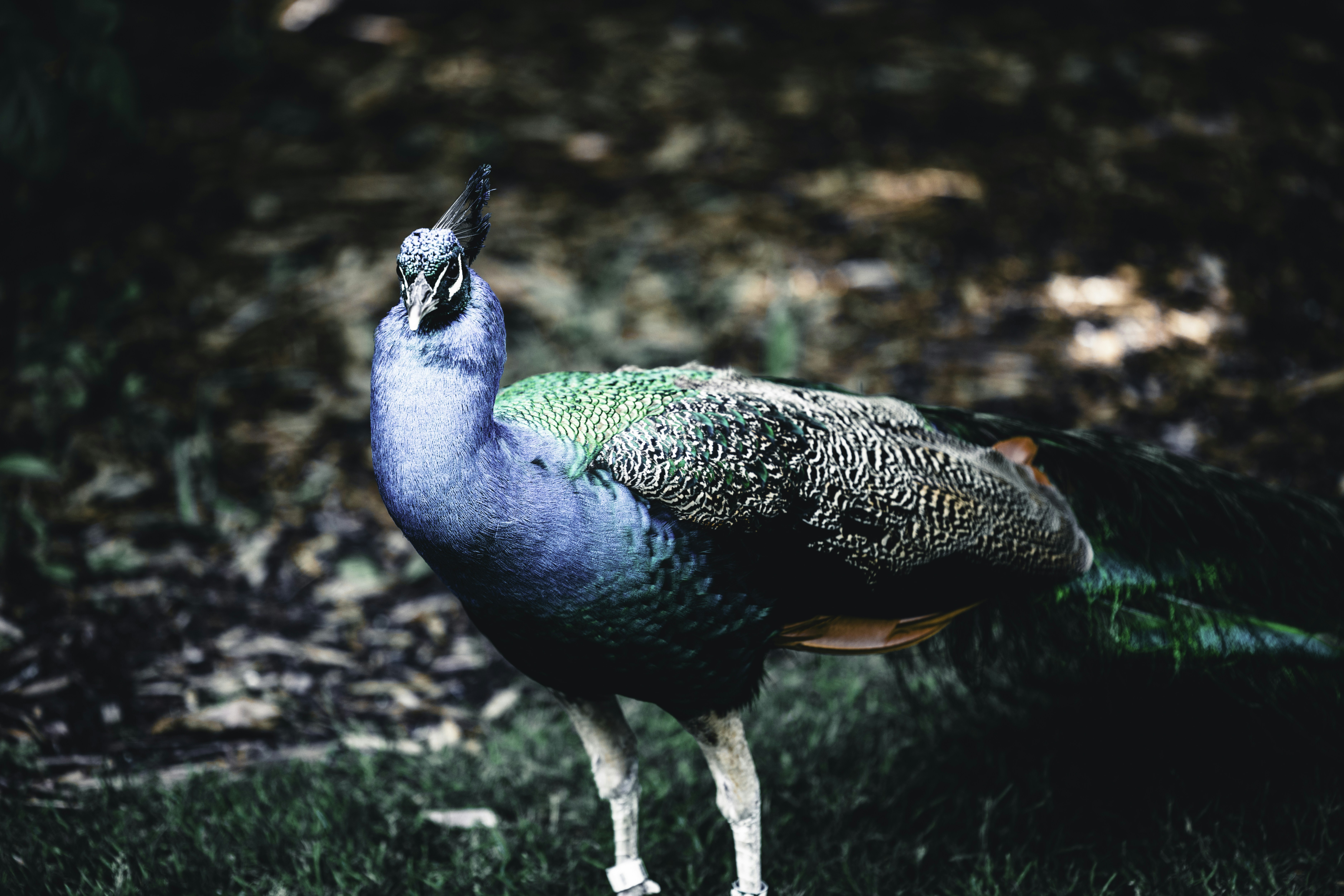 Photo by lureofadventure