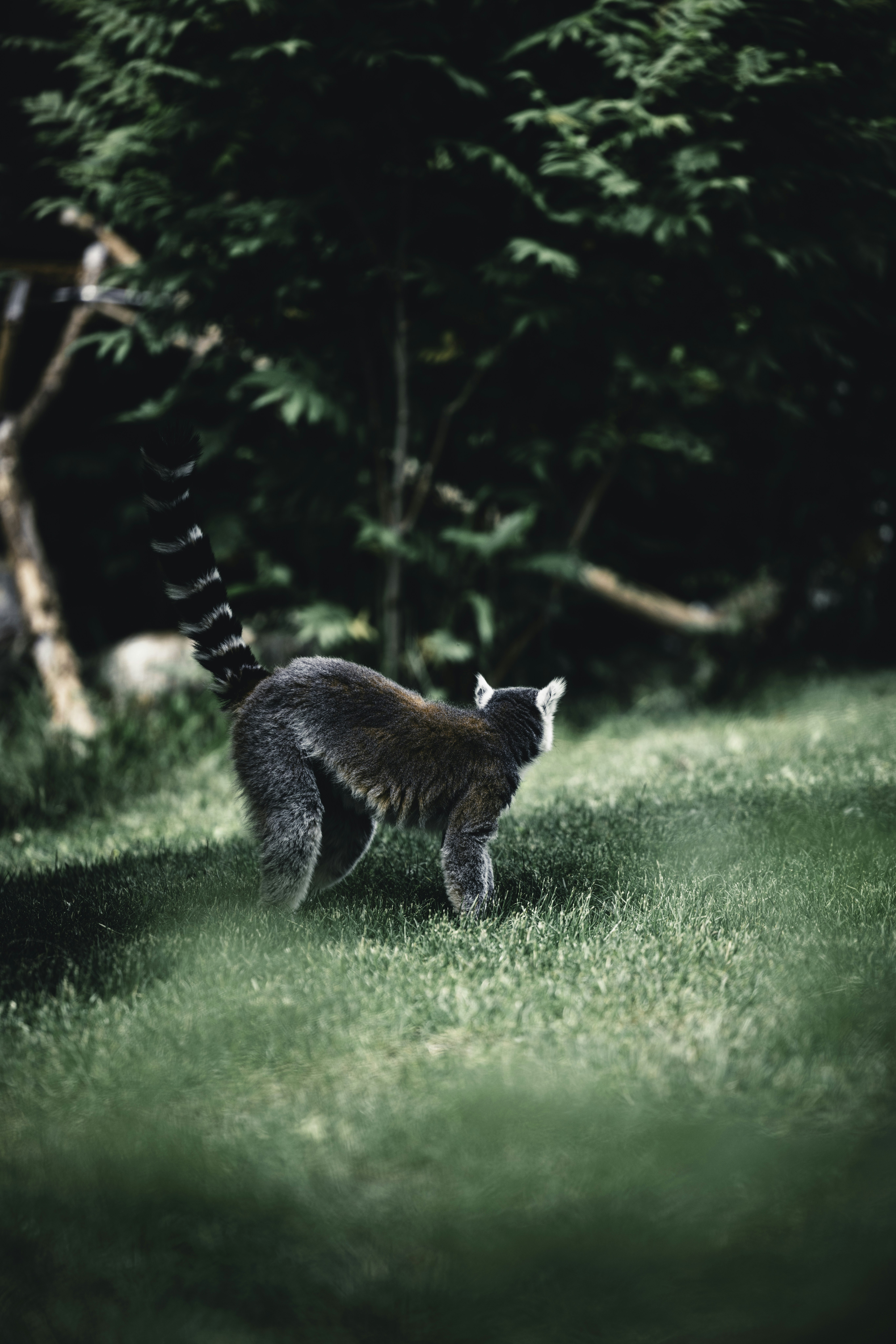 Photo by lureofadventure