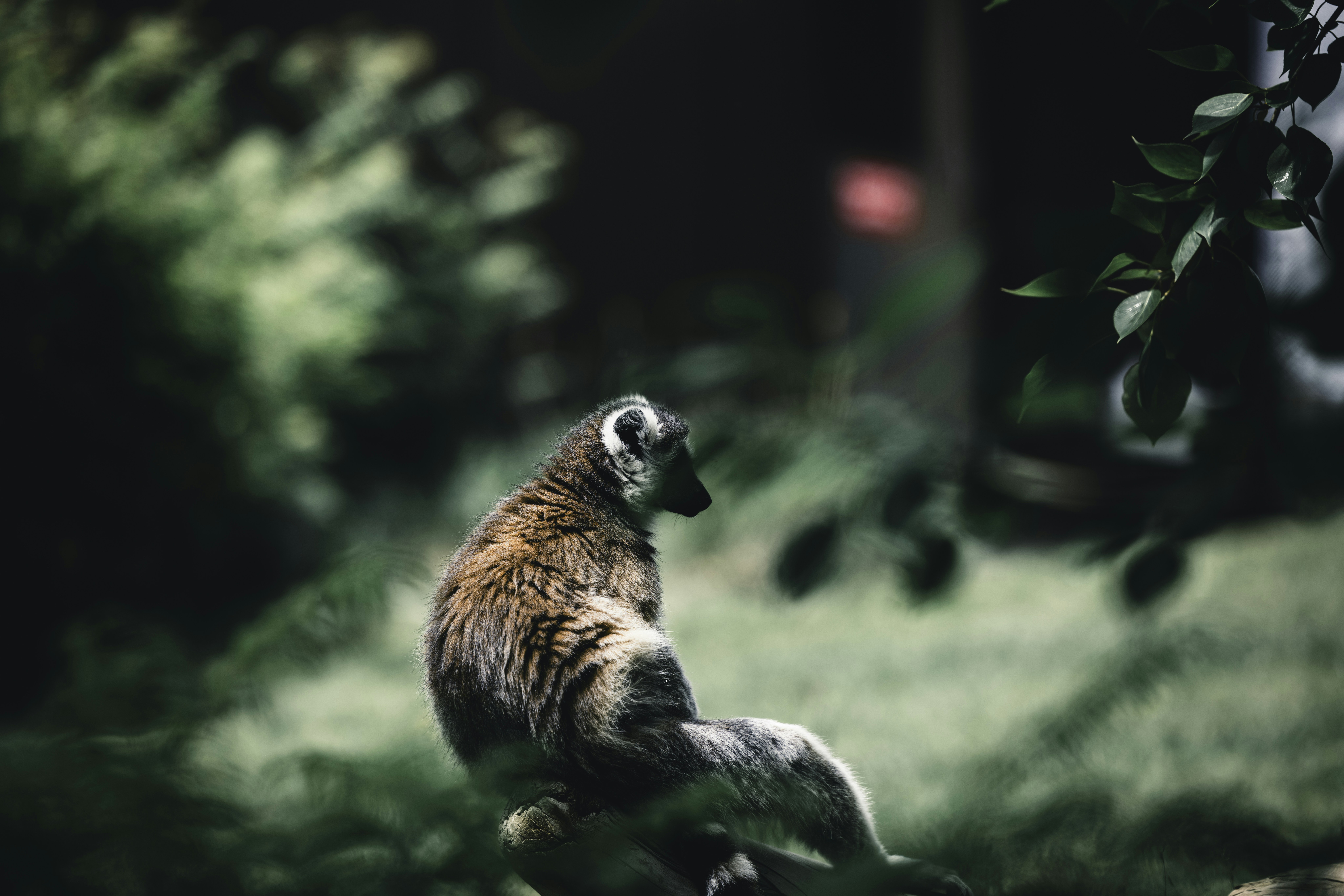 Photo by lureofadventure