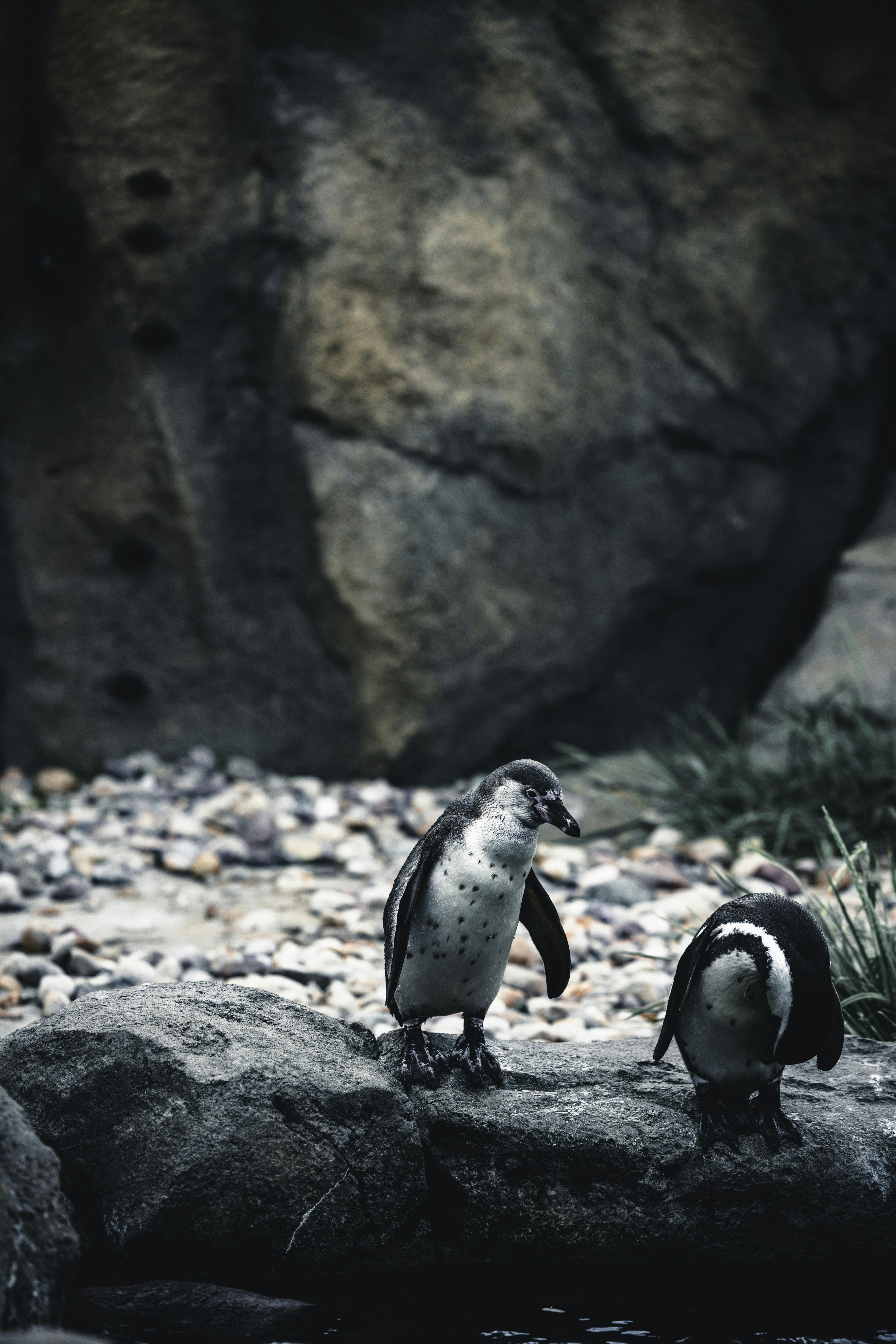 Photo by lureofadventure