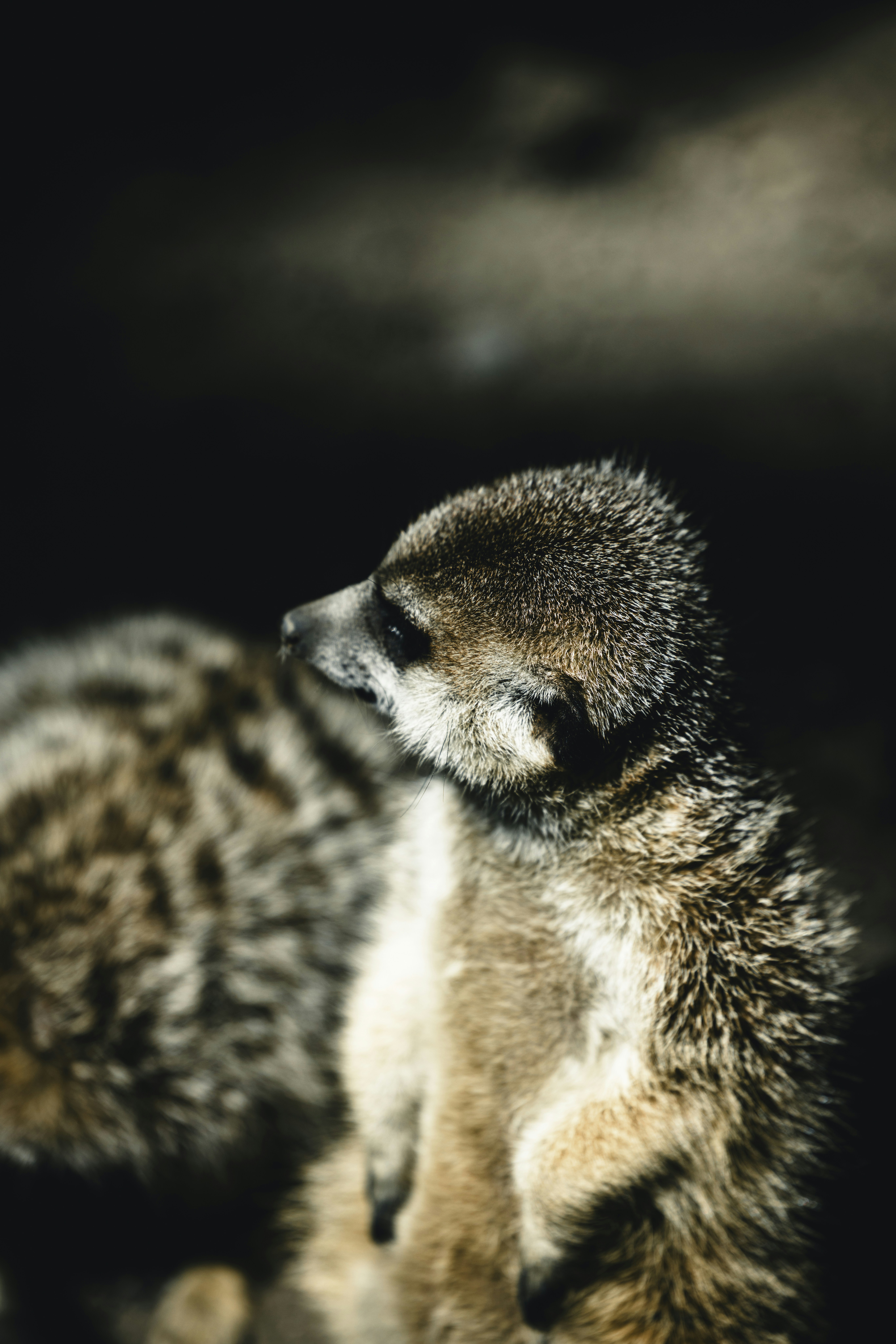 Photo by lureofadventure