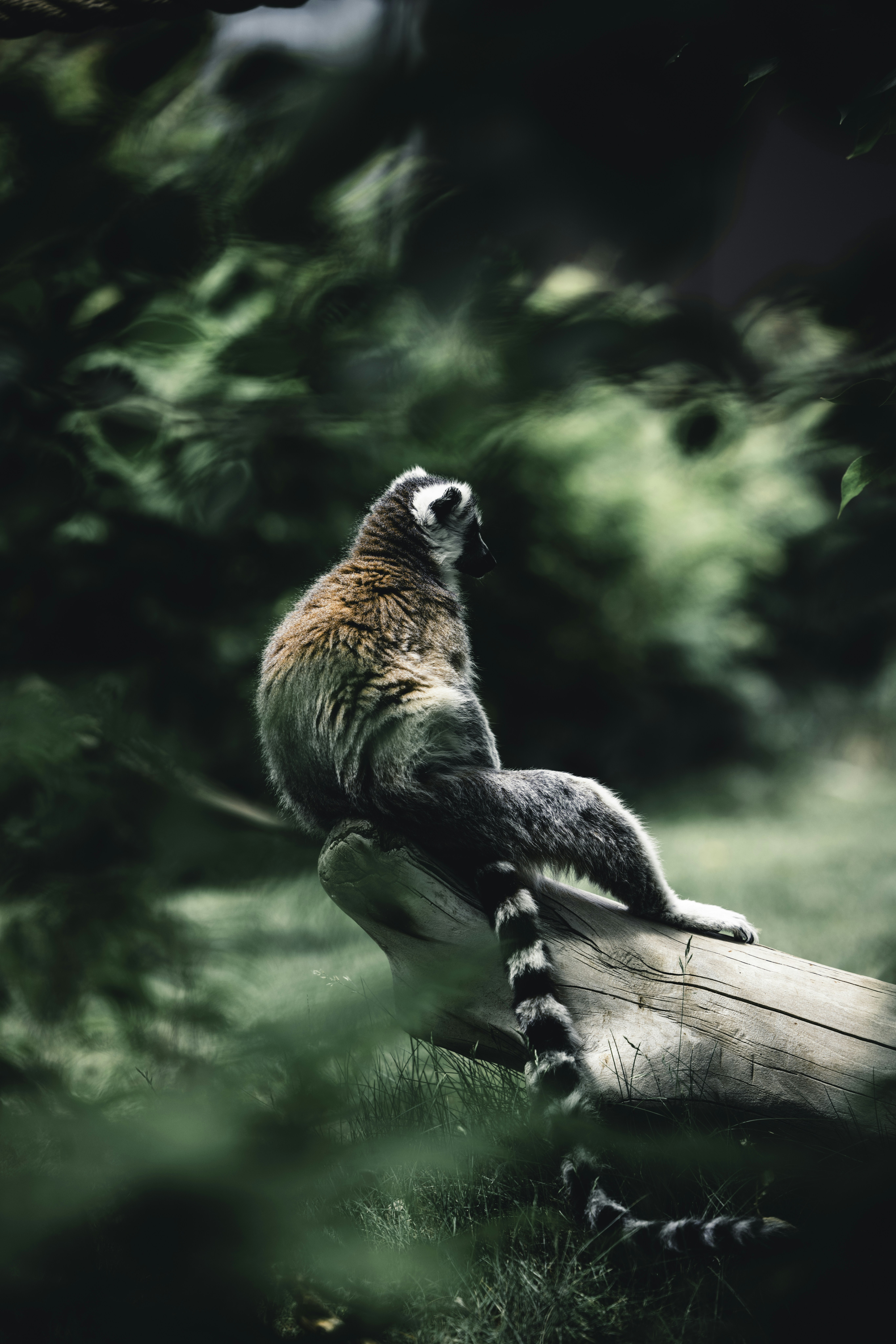 Photo by lureofadventure