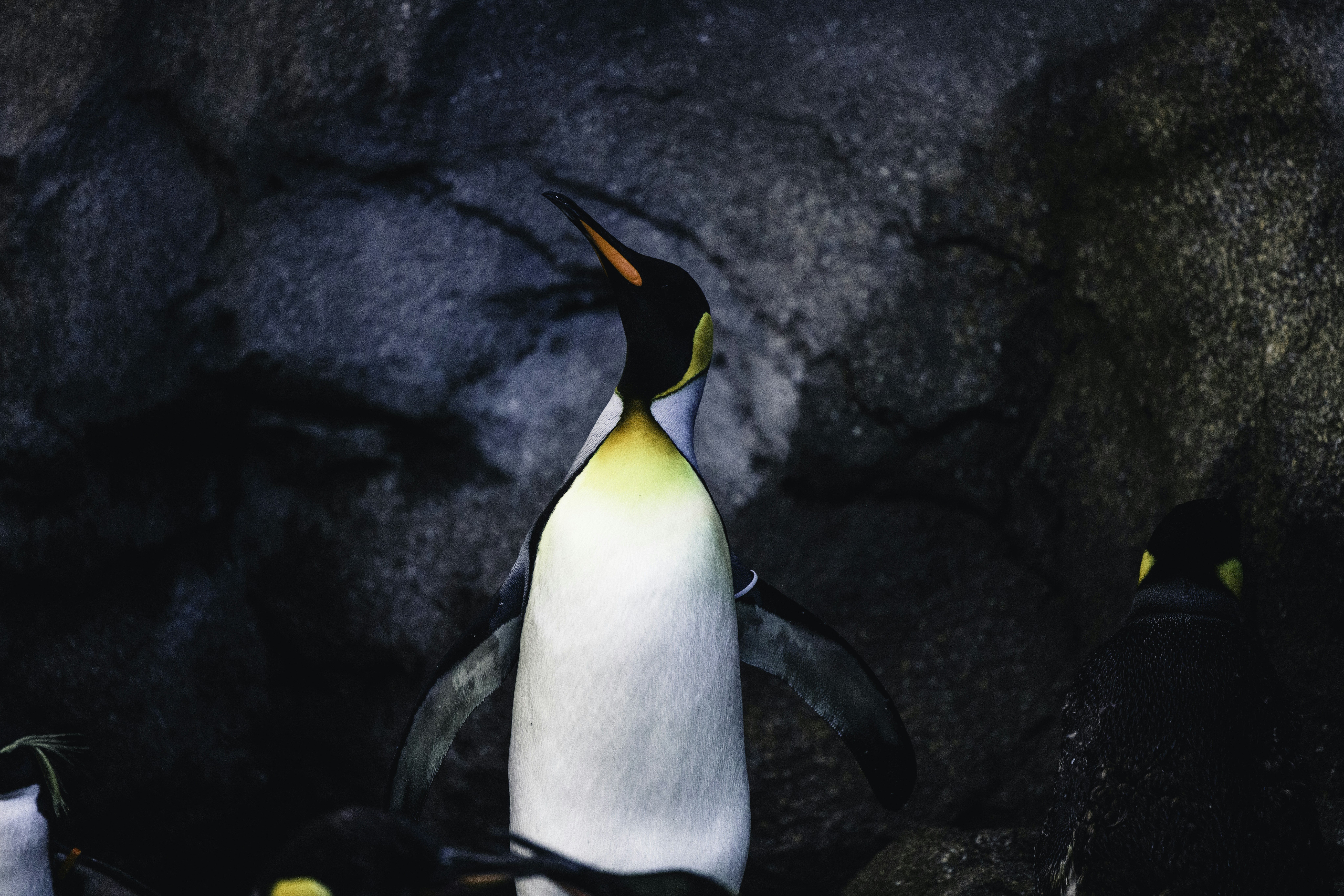 Photo by lureofadventure