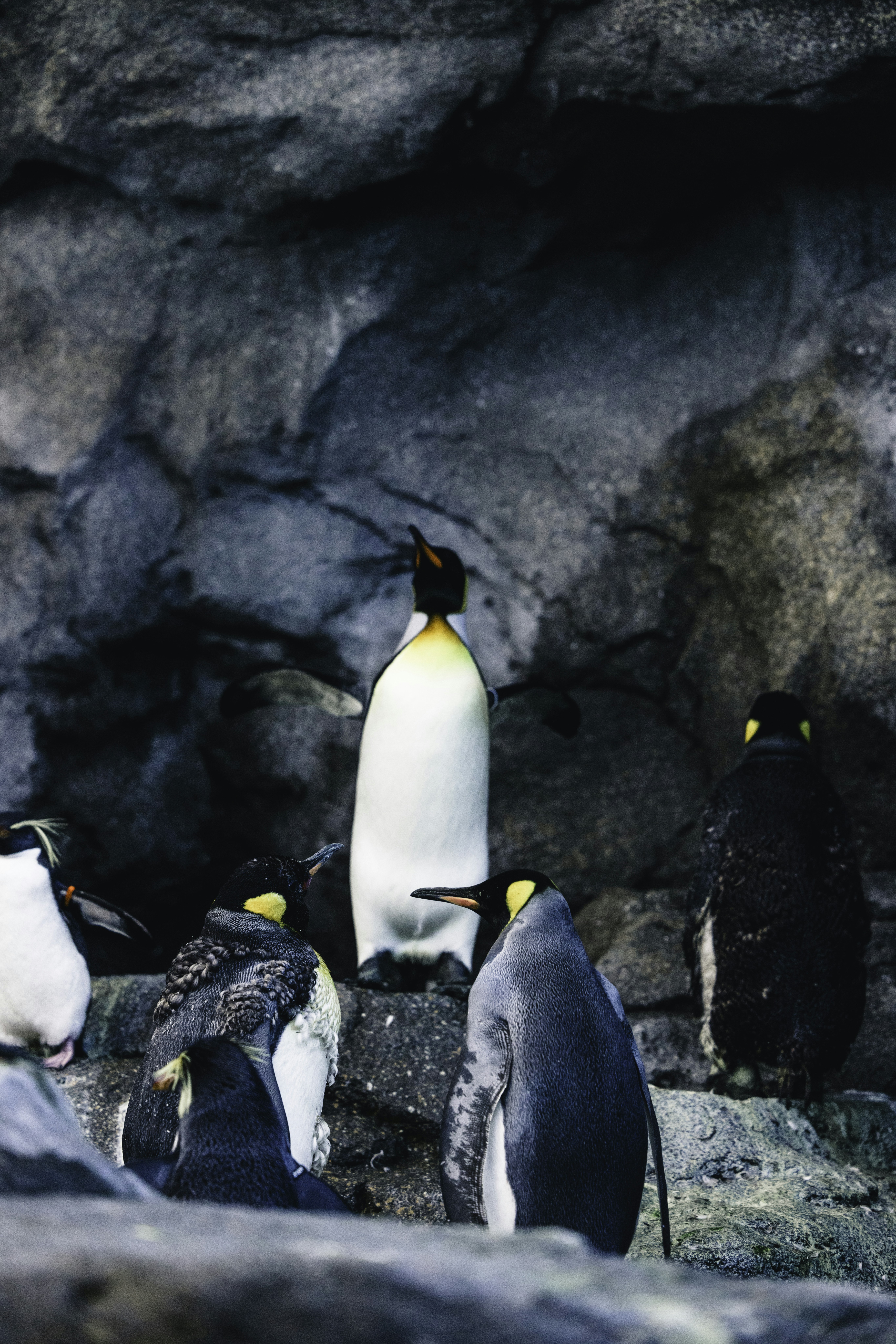 Photo by lureofadventure