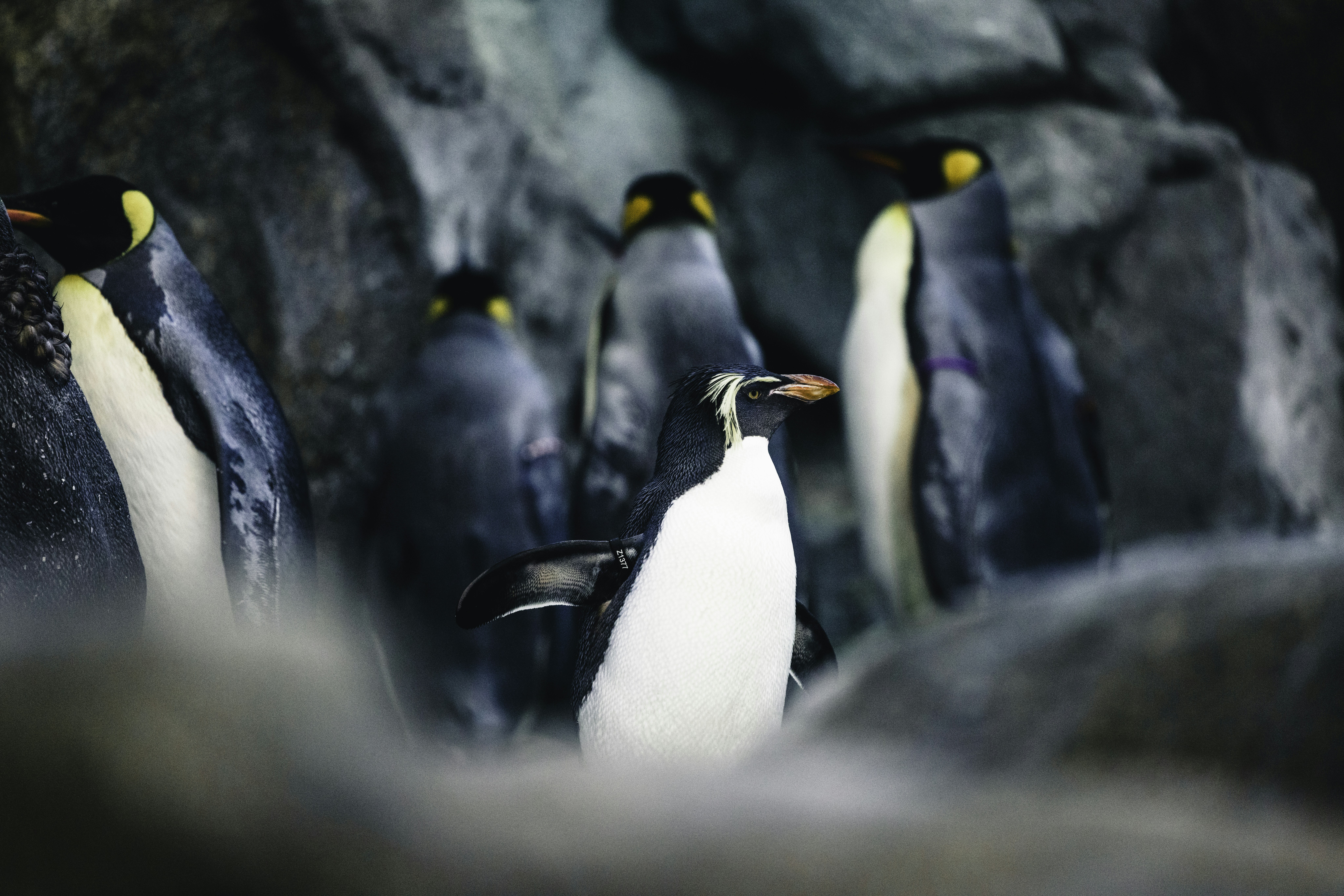 Photo by lureofadventure