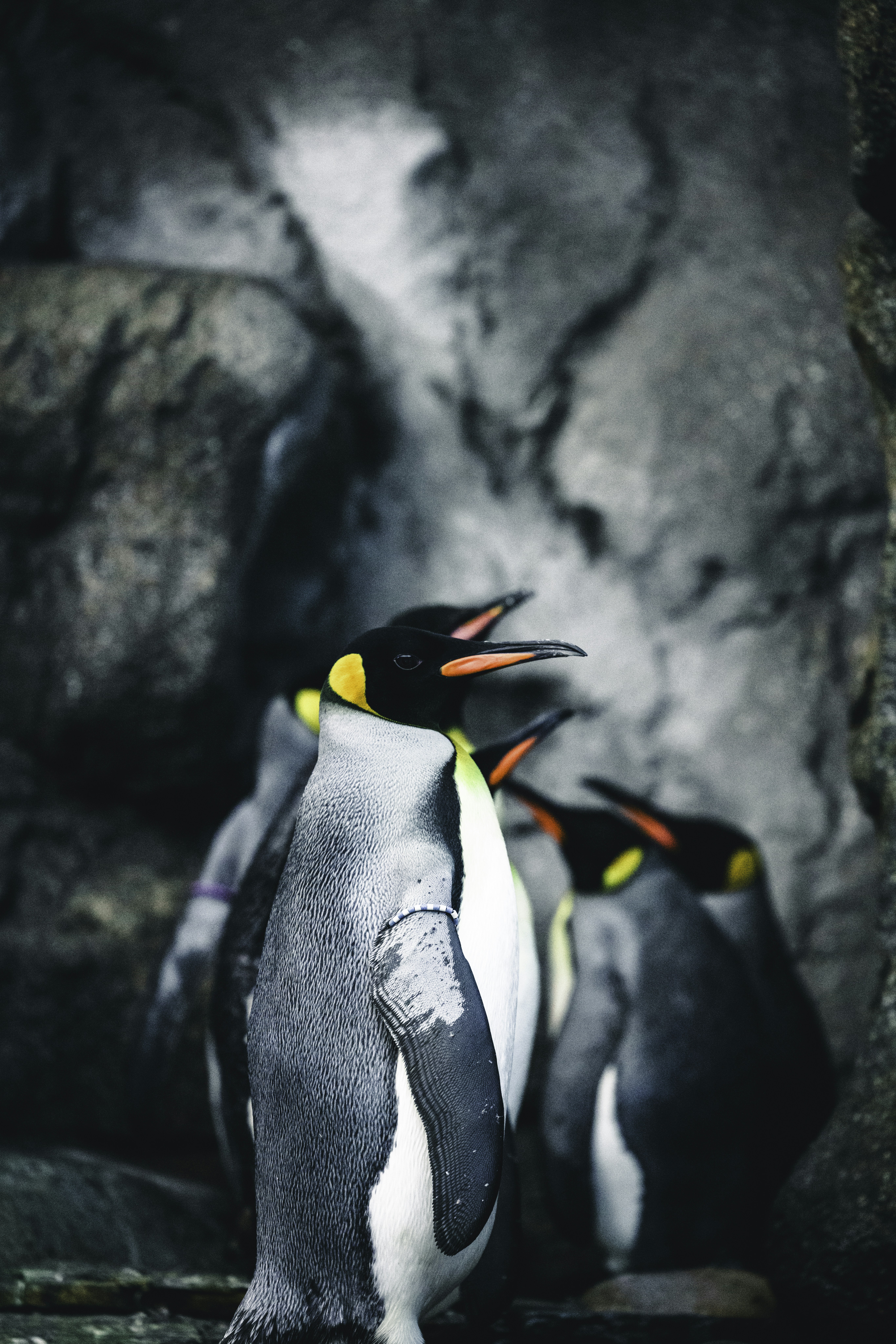 Photo by lureofadventure