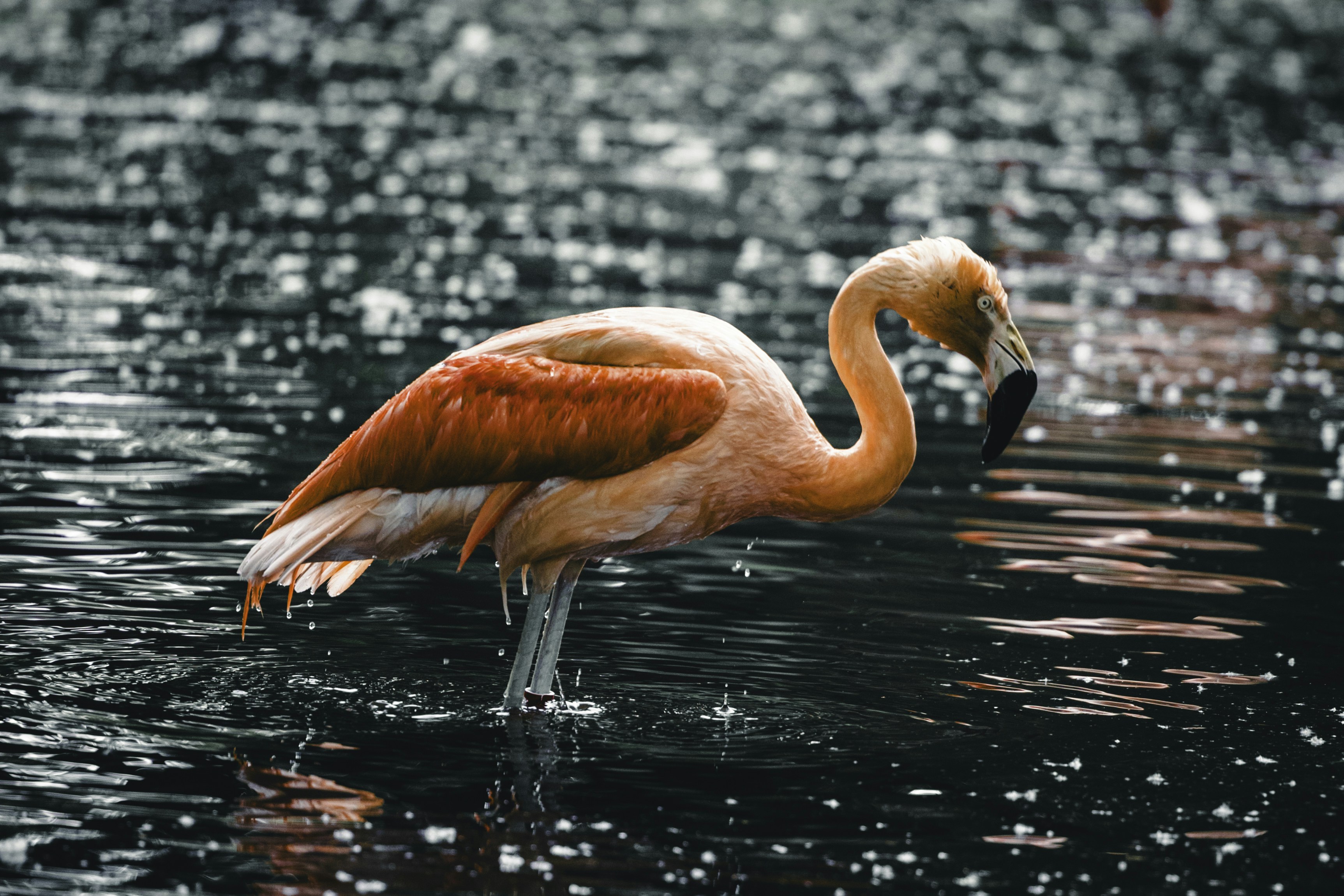 Photo by lureofadventure