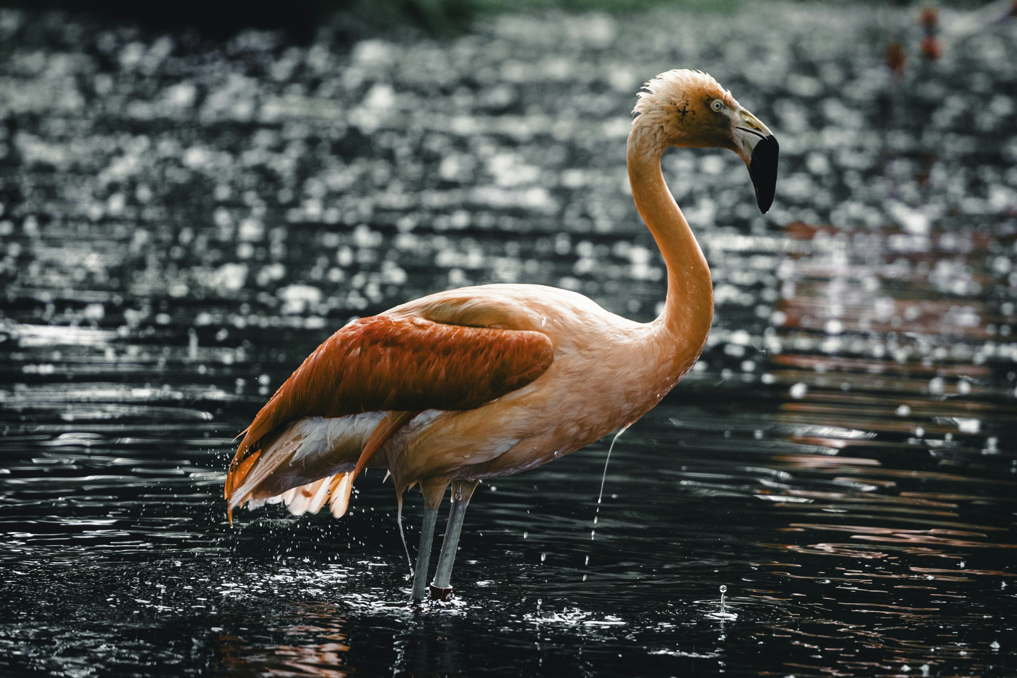 Photo by lureofadventure