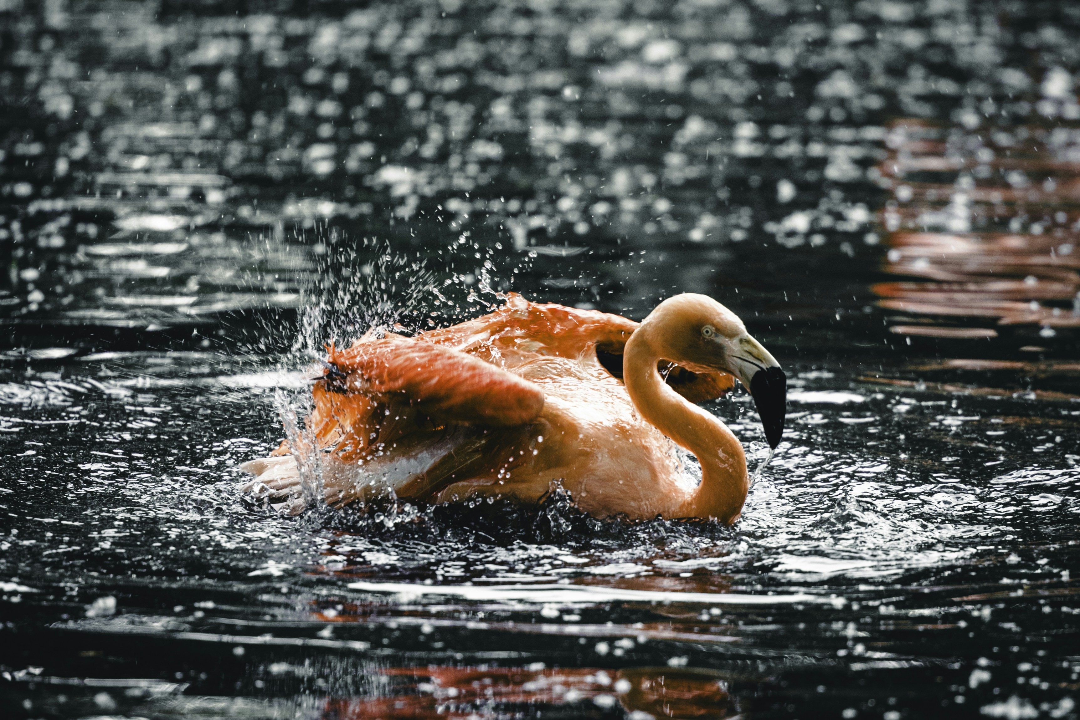 Photo by lureofadventure