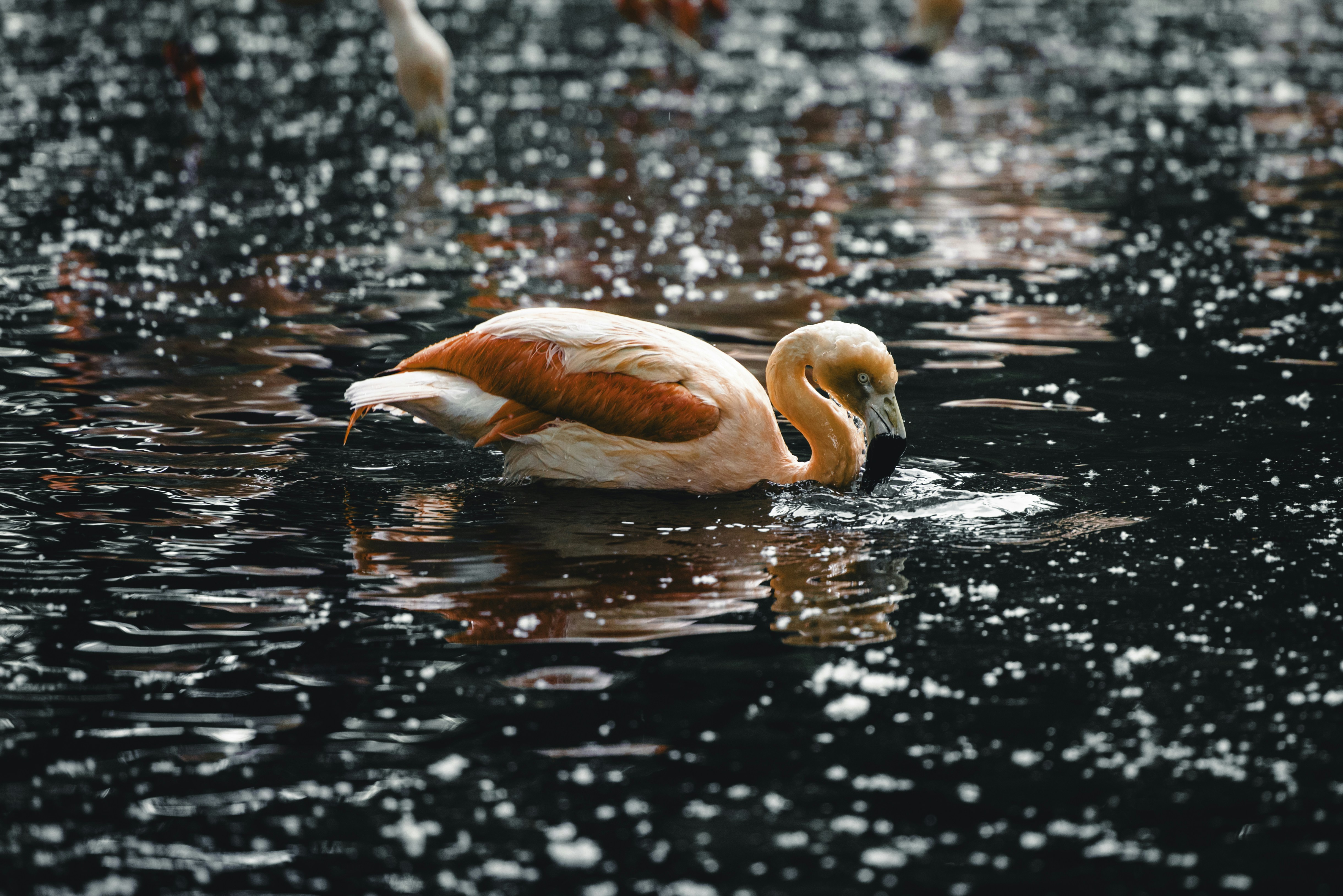 Photo by lureofadventure