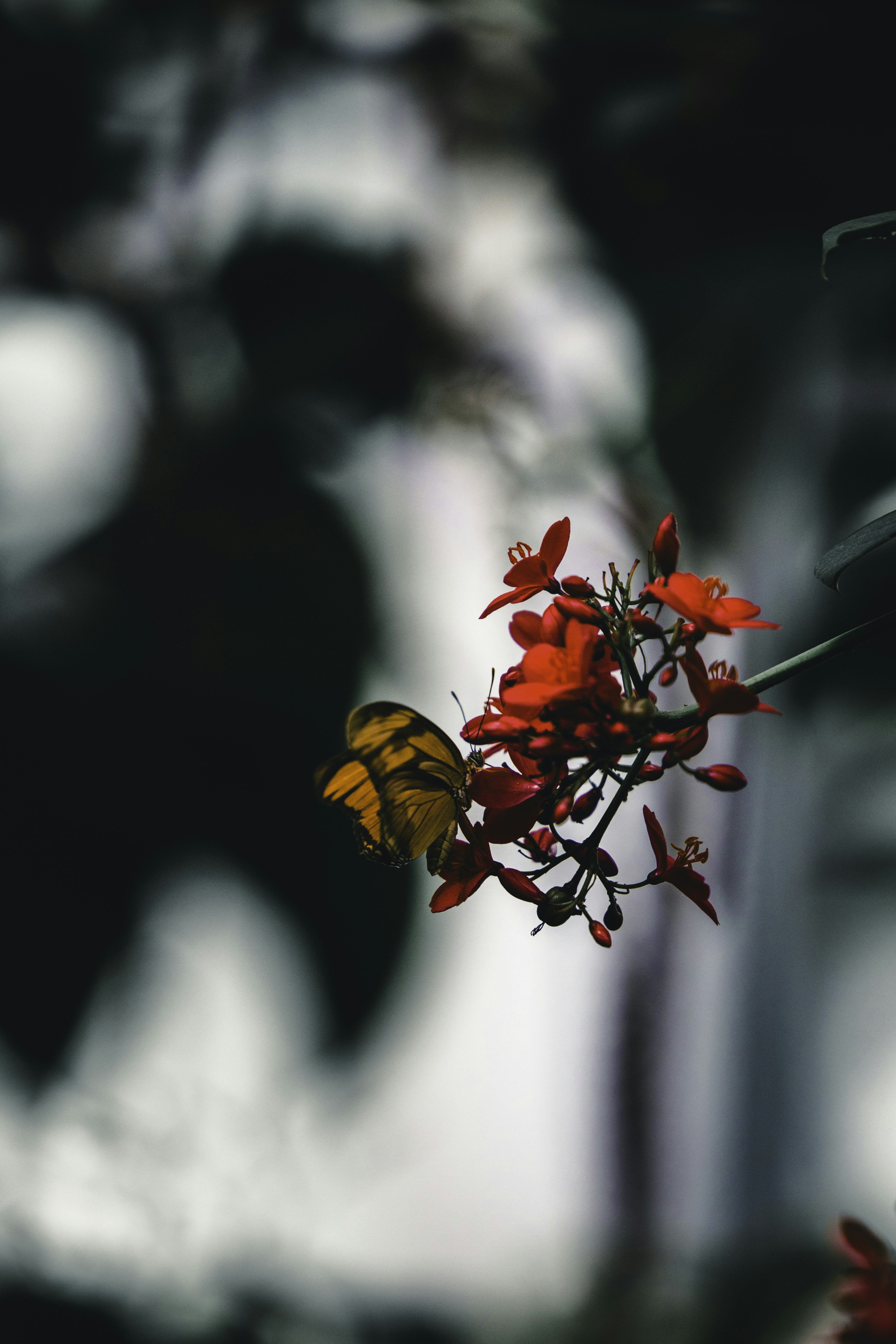 Photo by lureofadventure