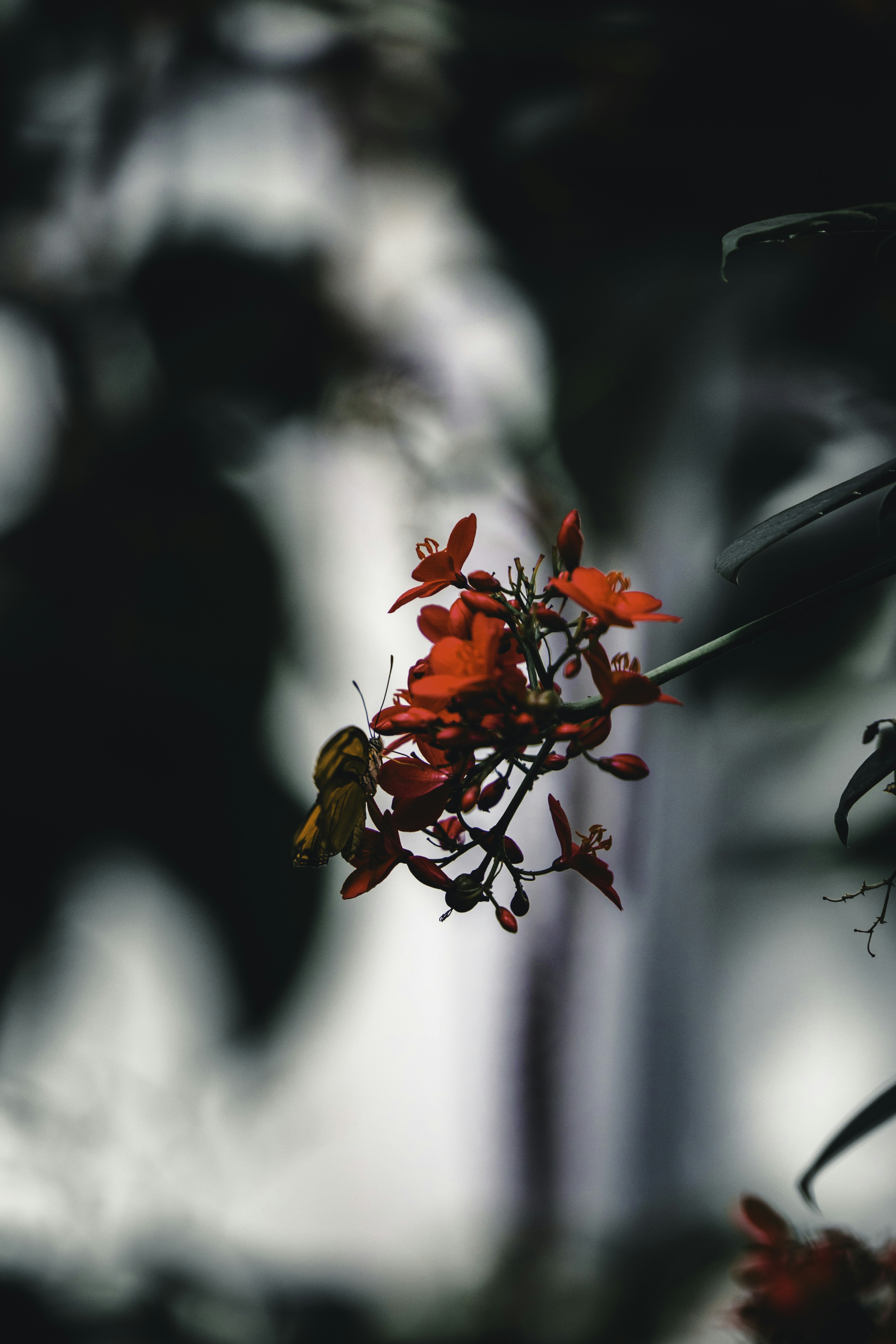 Photo by lureofadventure