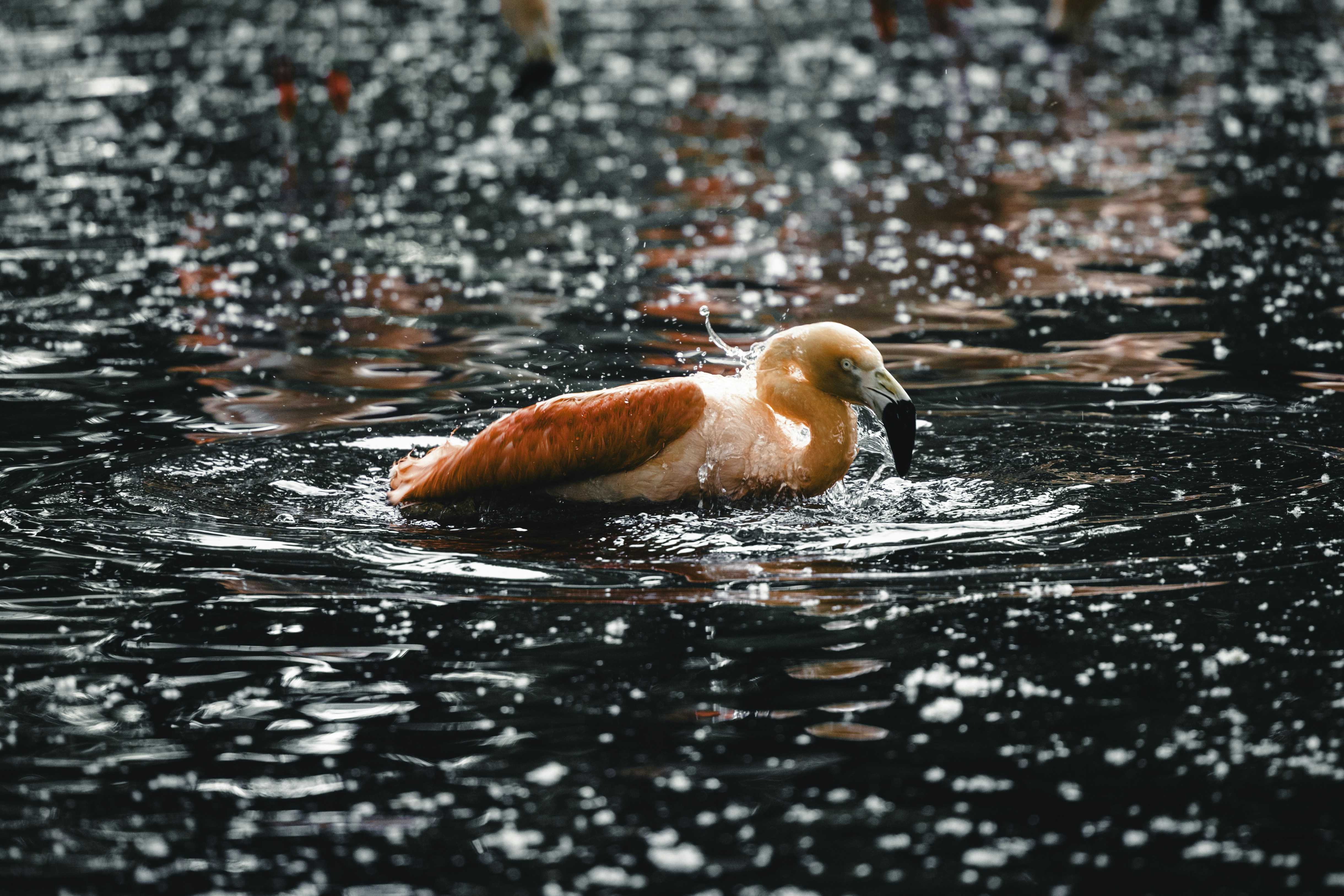 Photo by lureofadventure