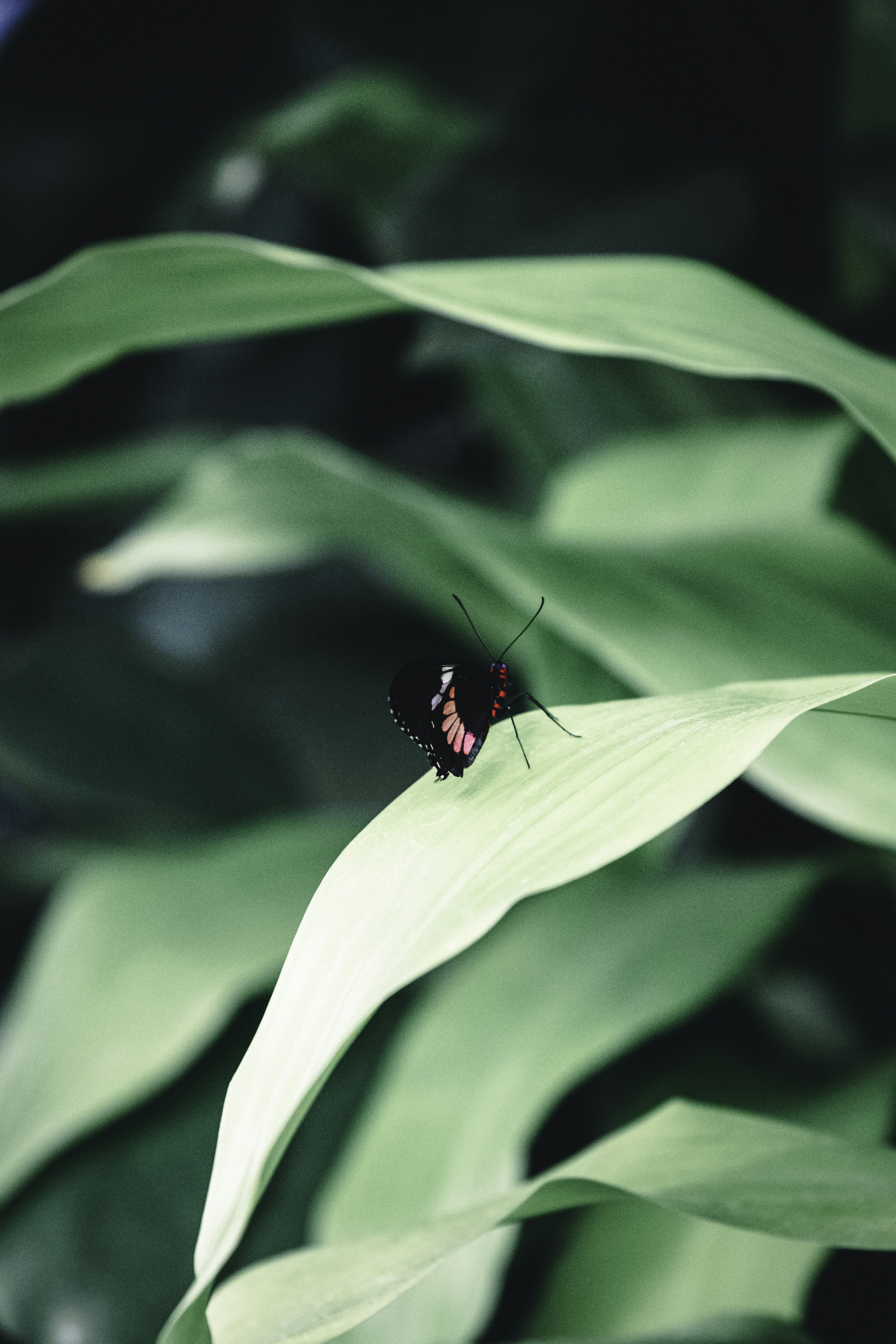 Photo by lureofadventure