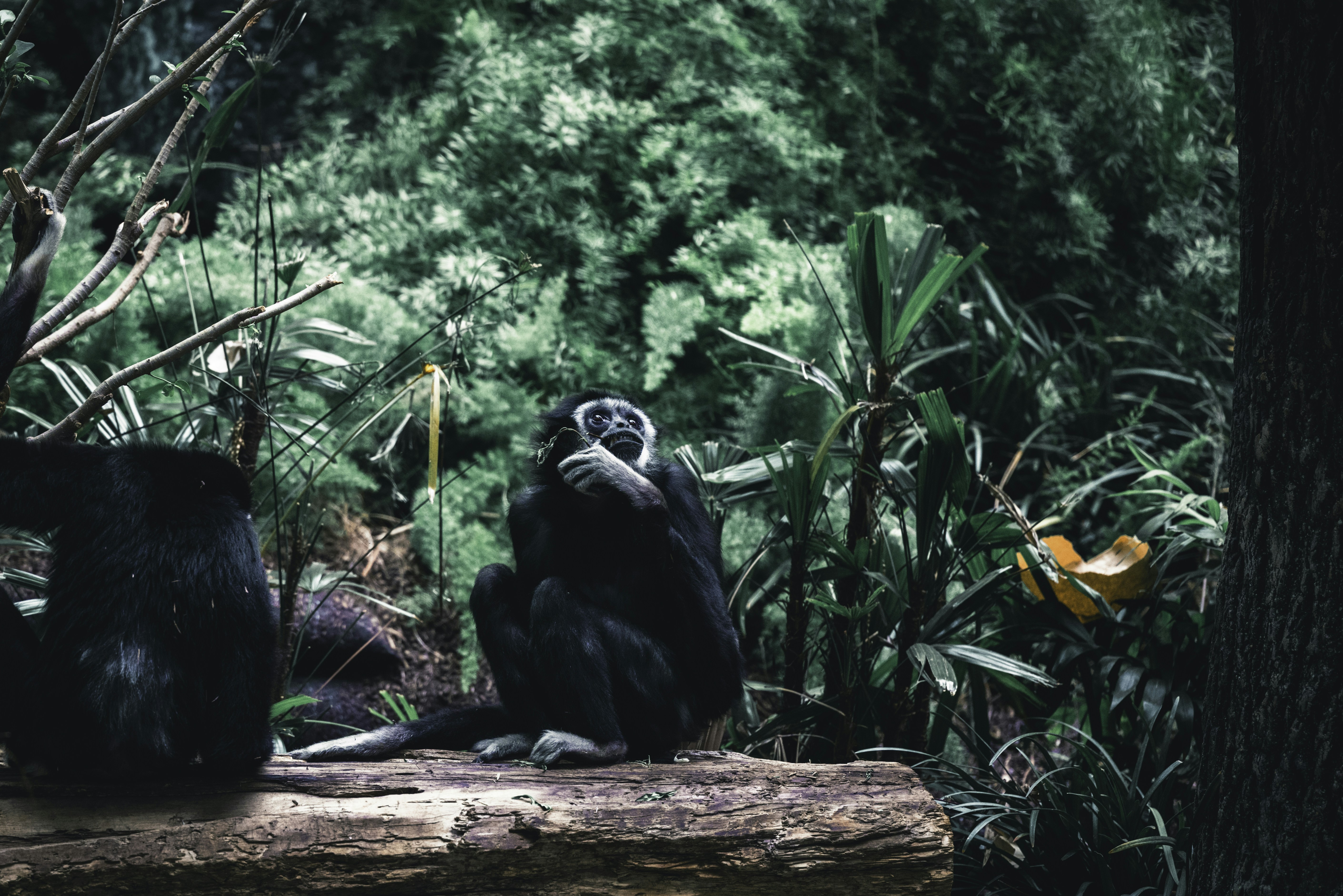 Photo by lureofadventure